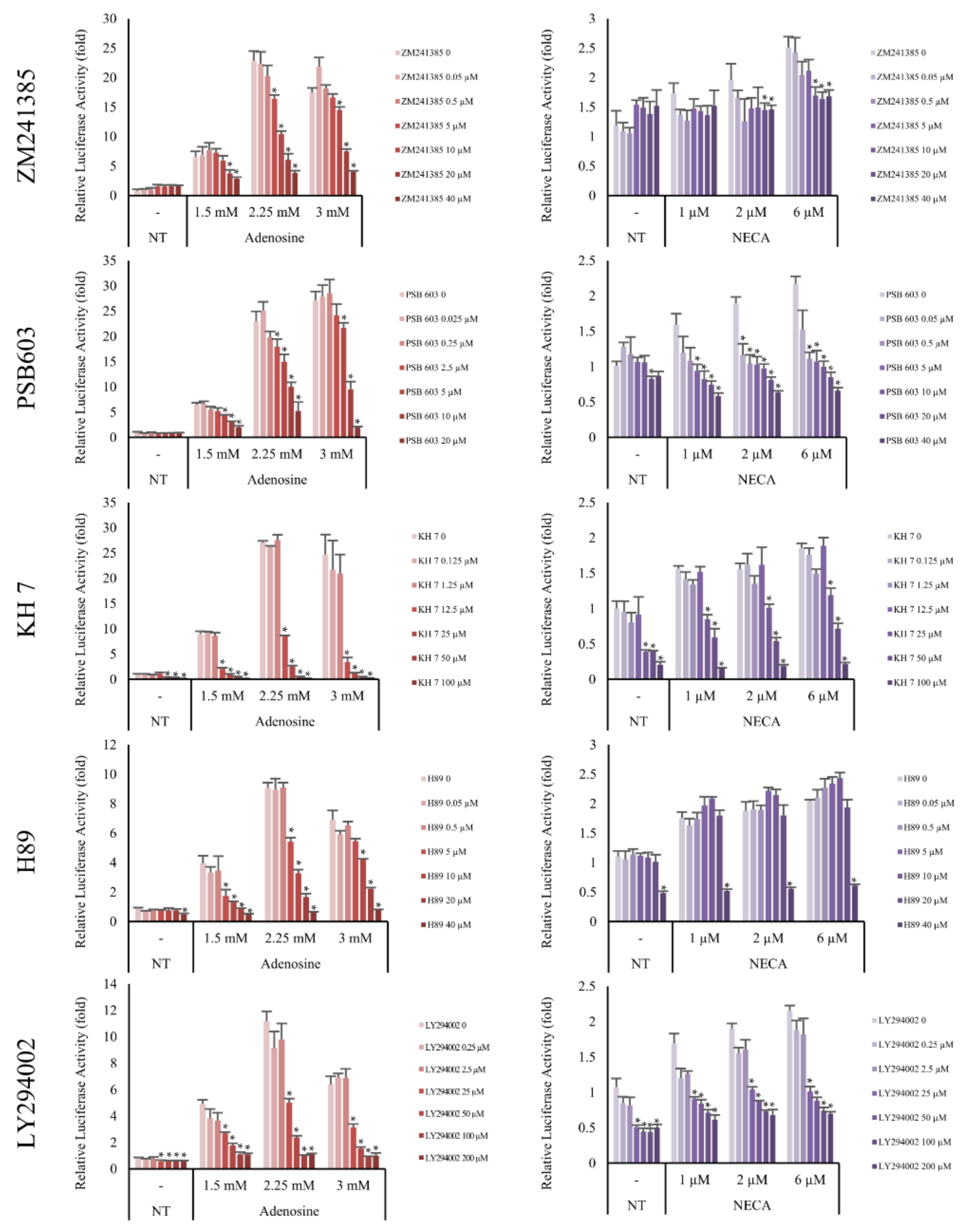 Molecules 27 02184 g007