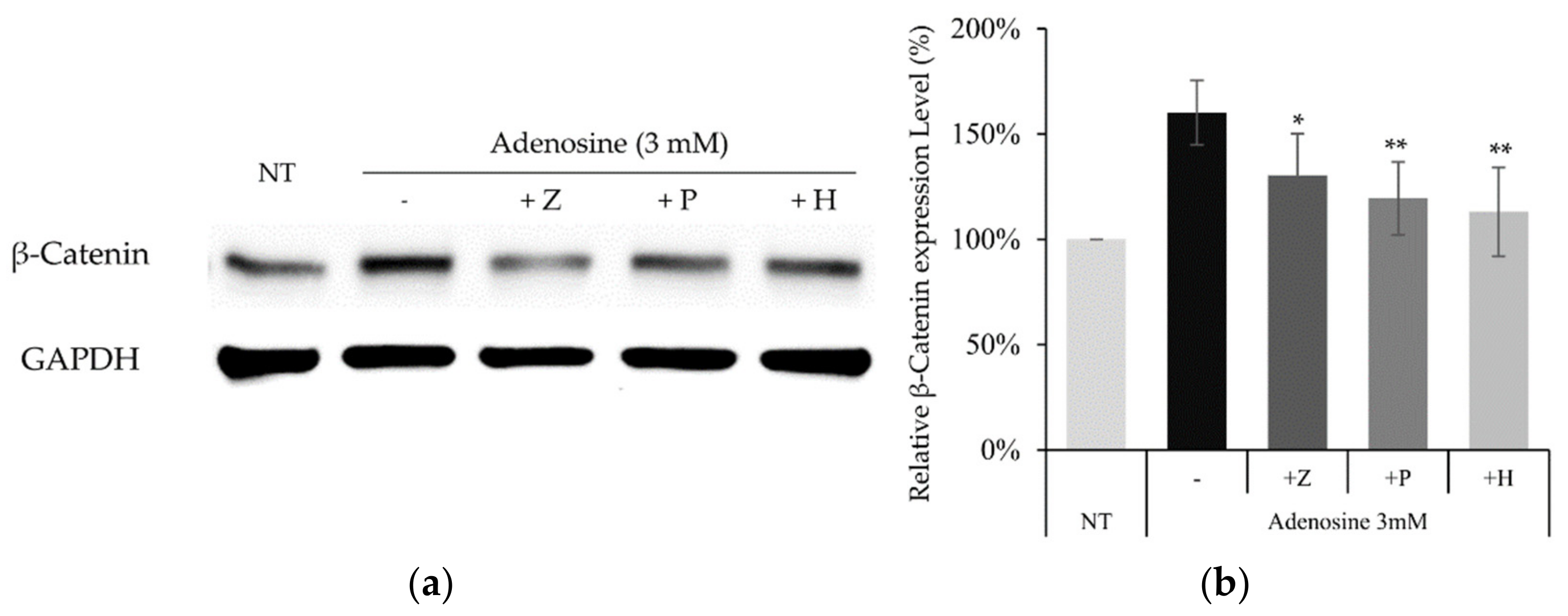 Molecules 27 02184 g008