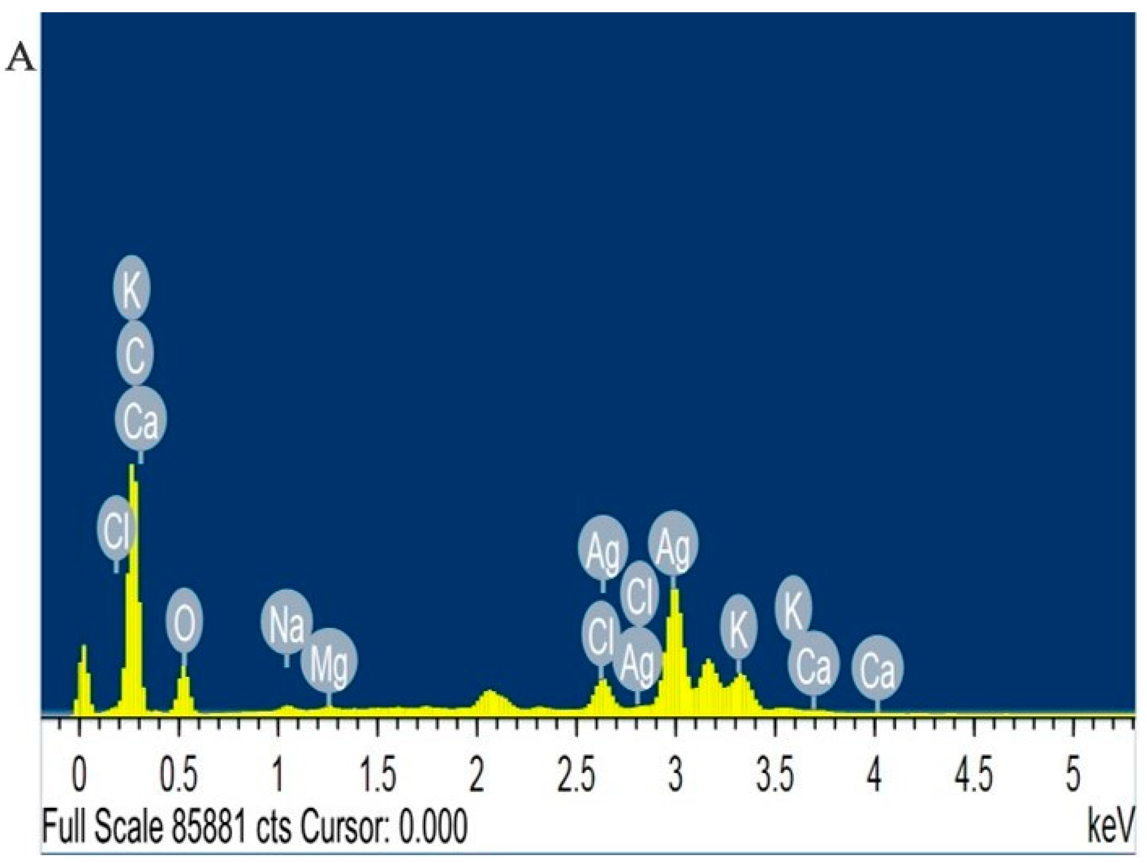 Molecules 27 02186 g004a