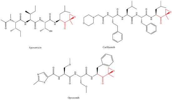 Molecules 27 02201 g010