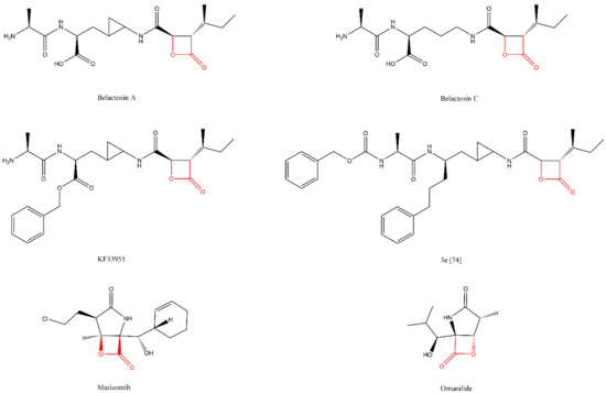 Molecules 27 02201 g017