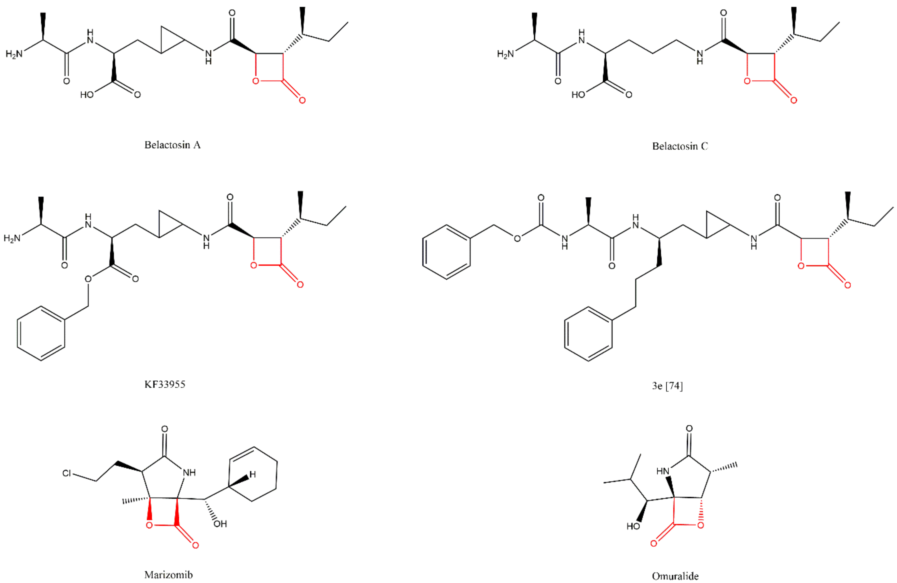 Molecules 27 02201 g017 Molecules 27 02201 g017