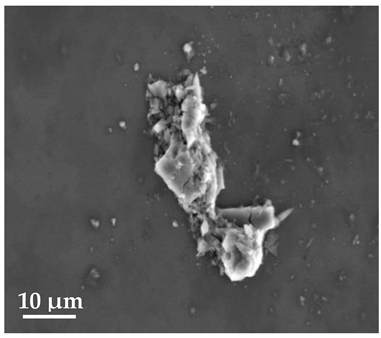 Molecules 27 02202 i005