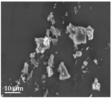 Molecules 27 02202 i008