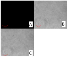 Molecules 27 02202 i011