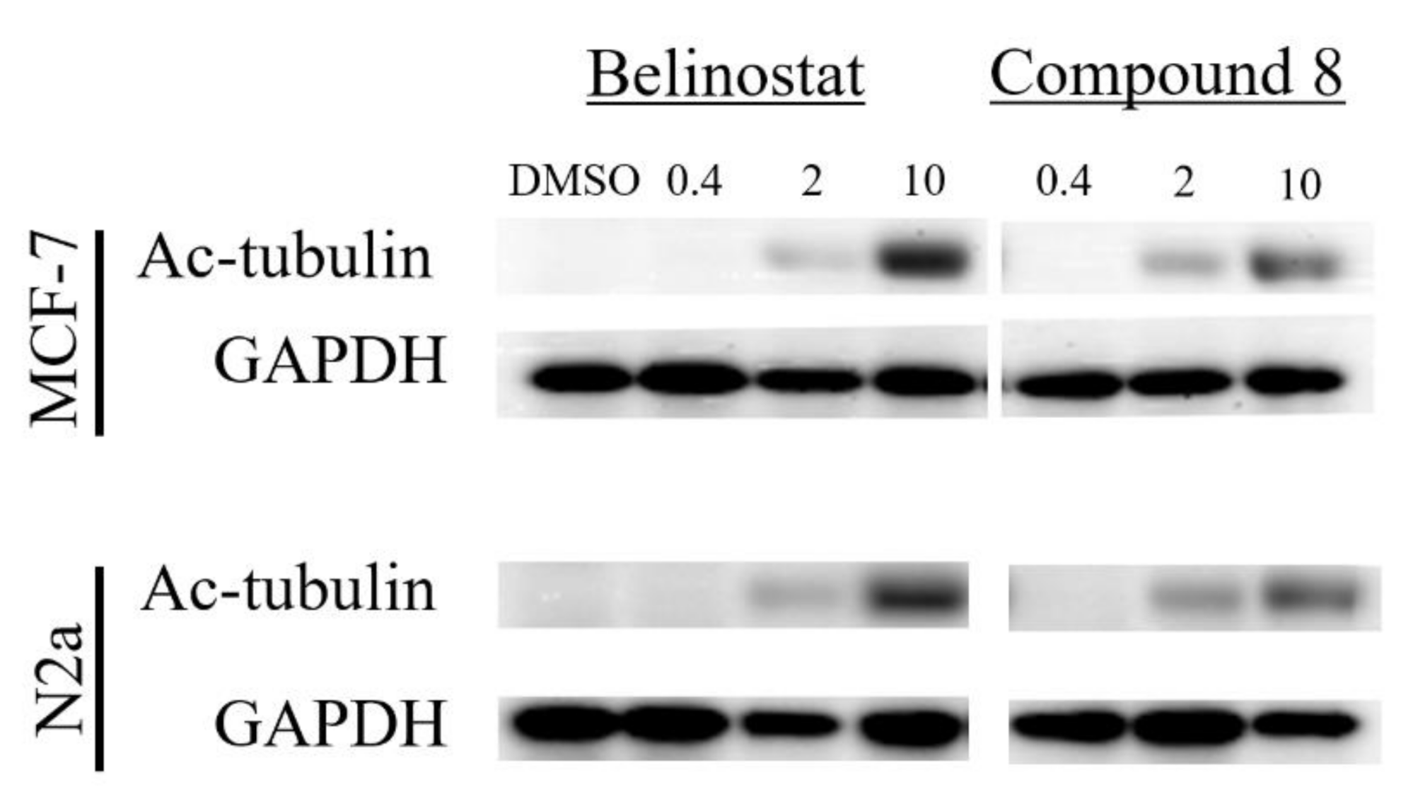 Molecules 27 02204 g004