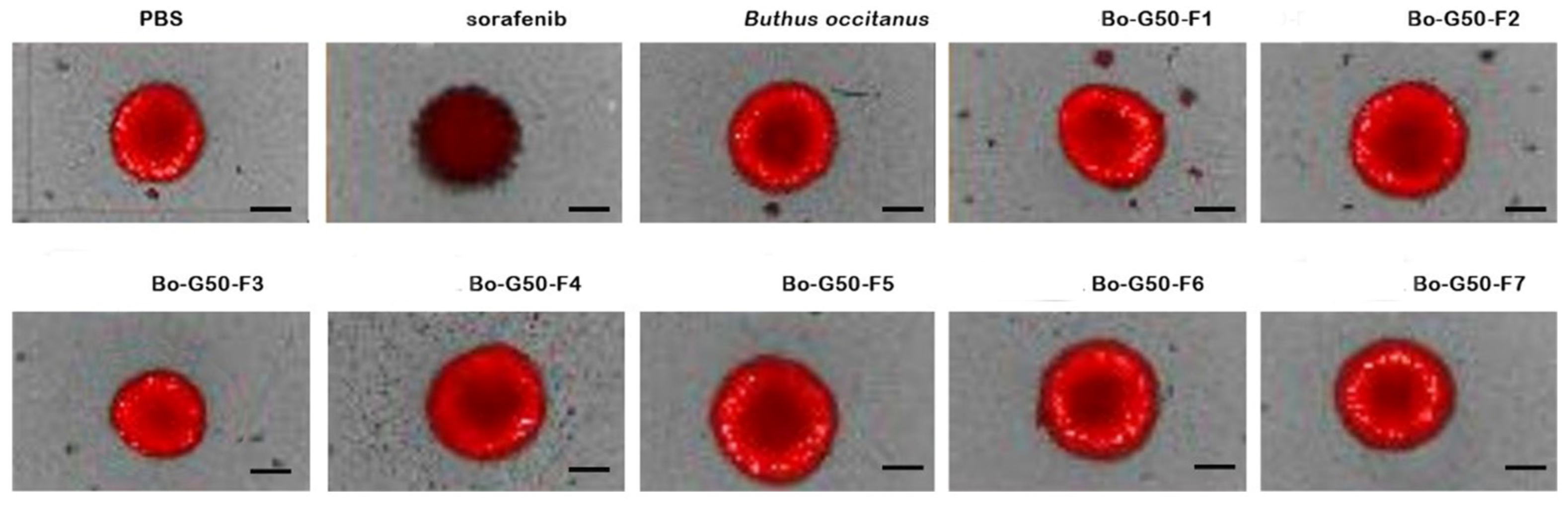 Molecules 27 02219 g005