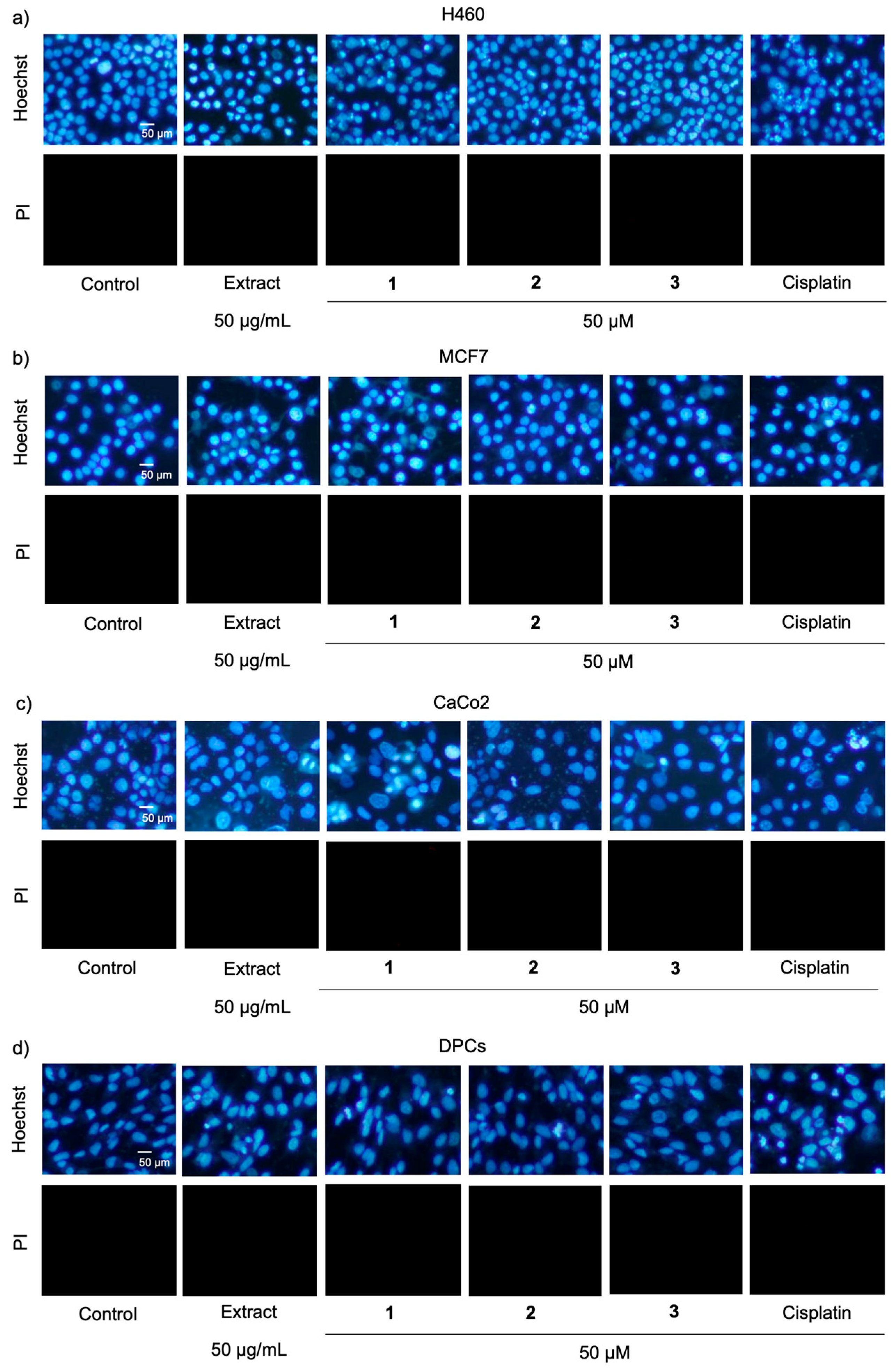 Molecules 27 02222 g005 Molecules 27 02222 g005