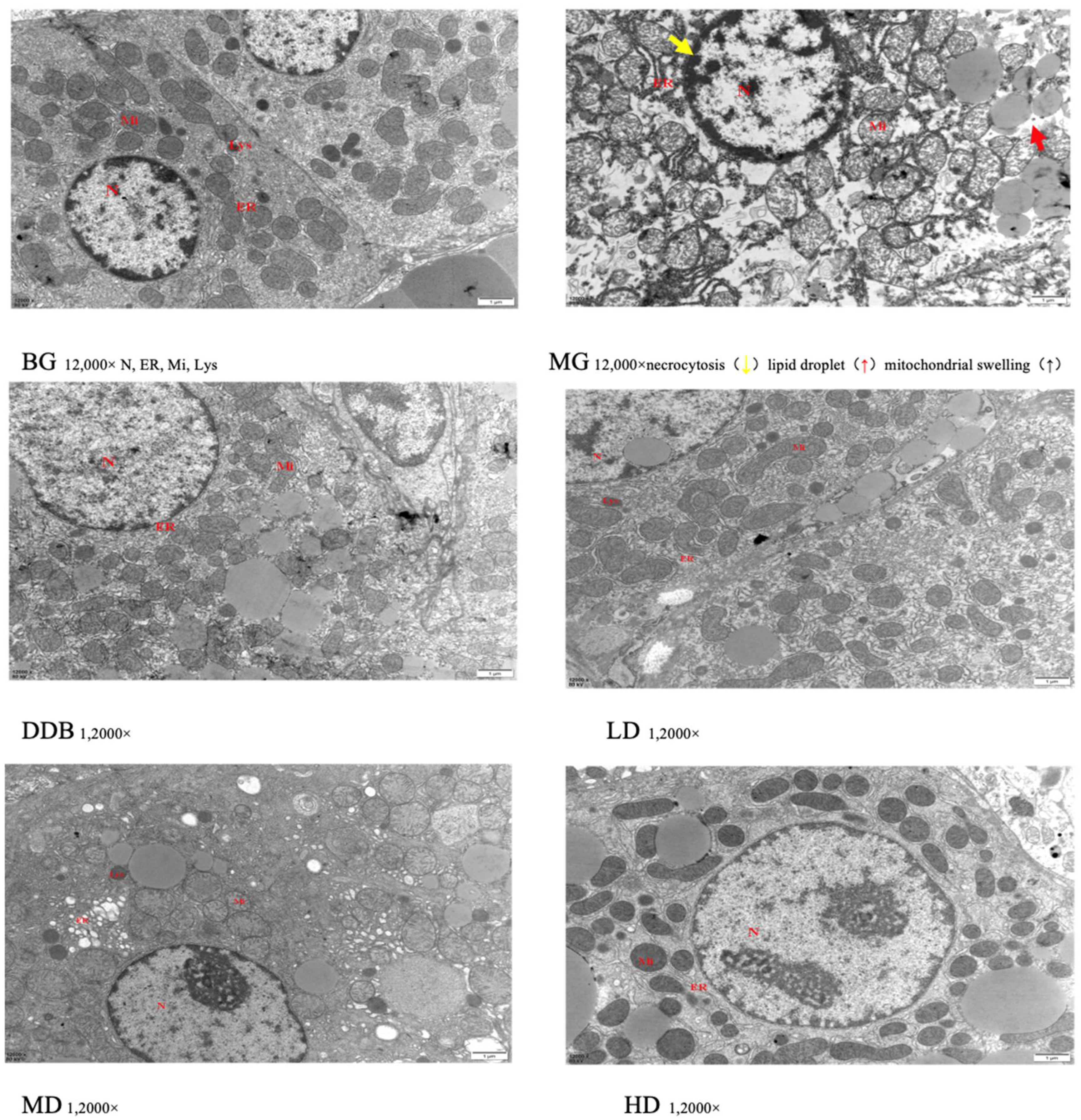 Molecules 27 02224 g005
