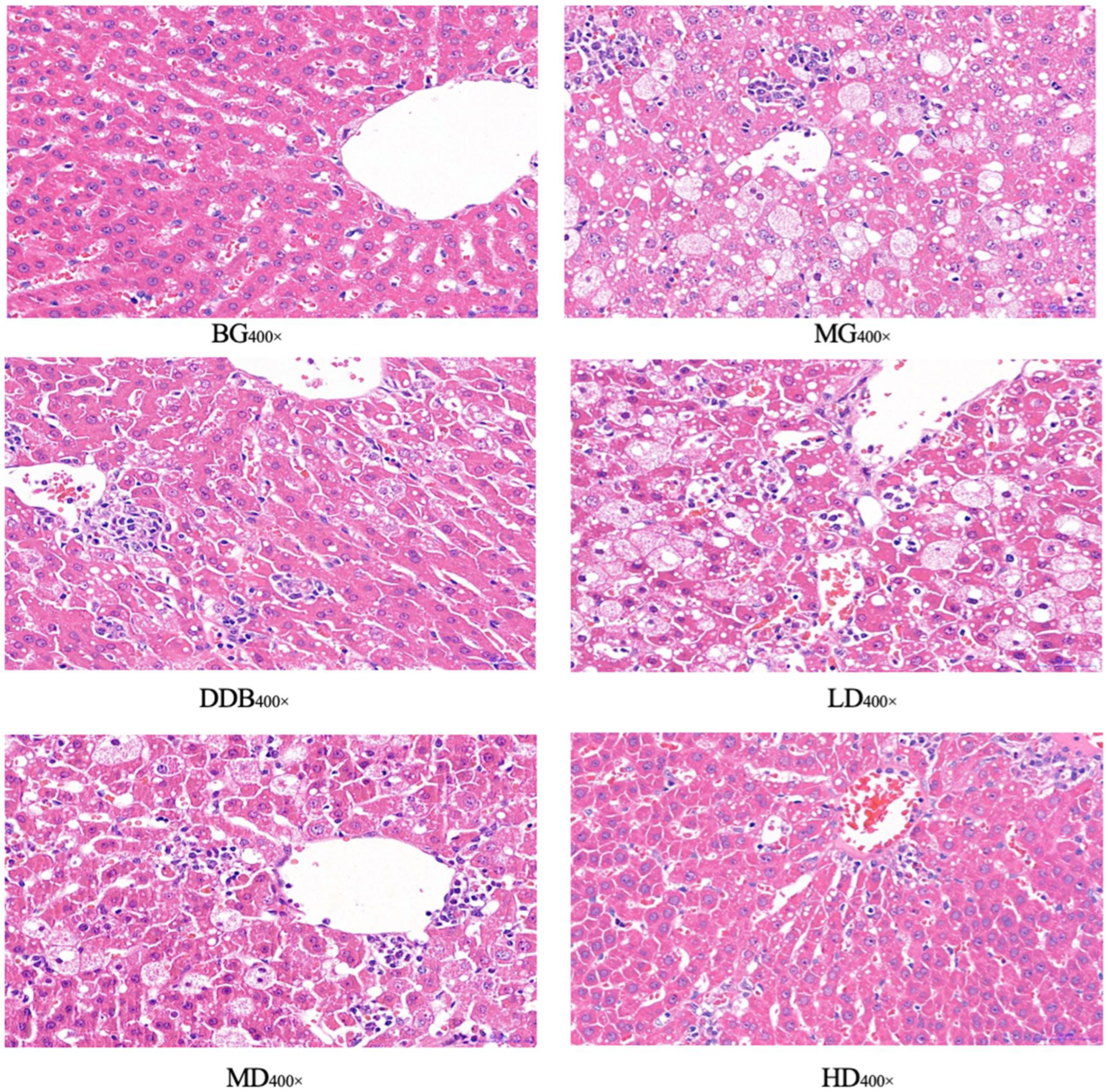 Molecules 27 02224 g006