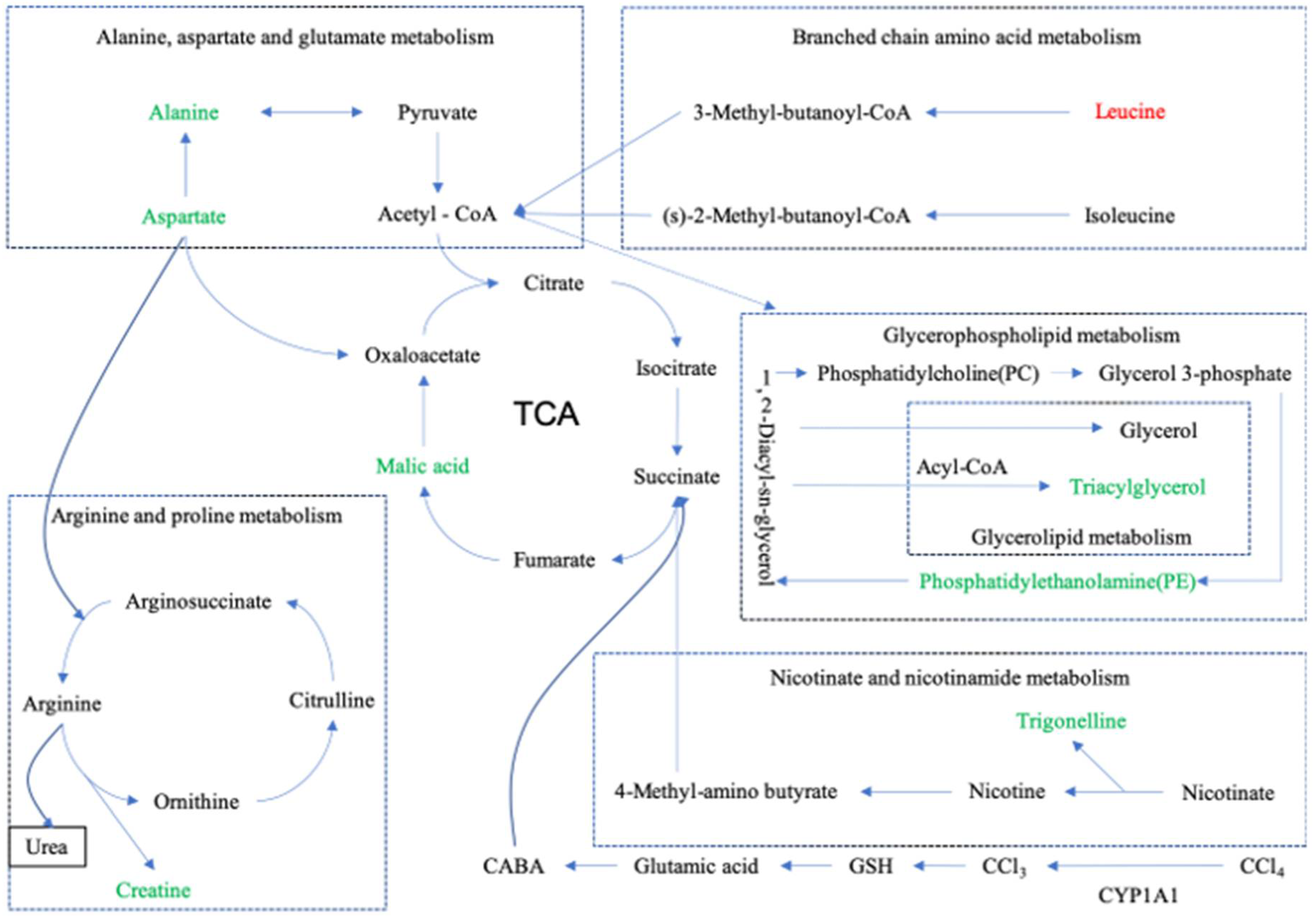 Molecules 27 02224 g012