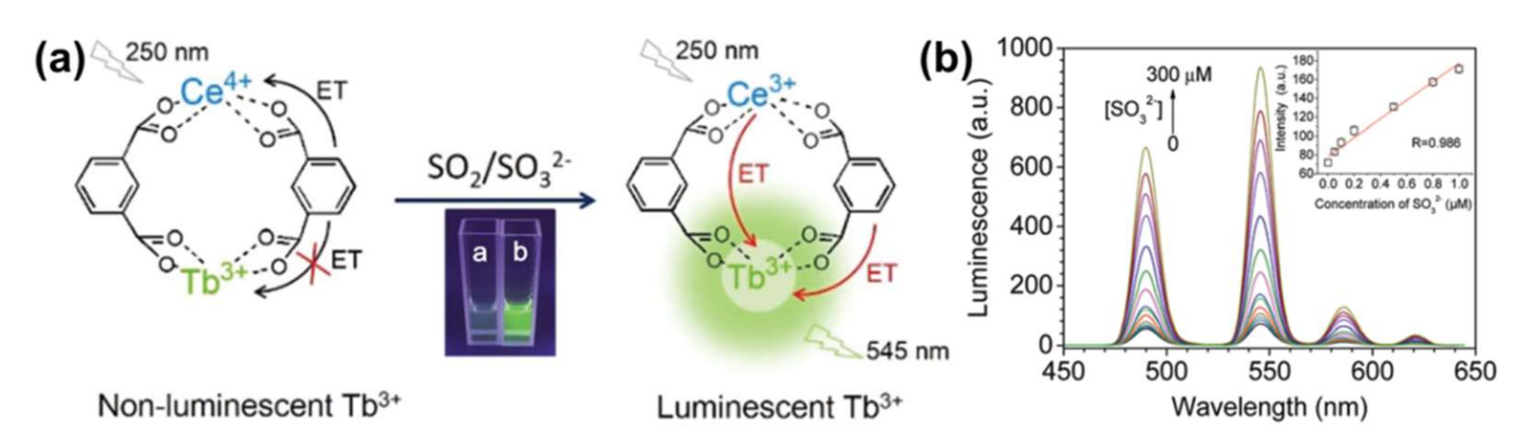 Molecules 27 02226 g006