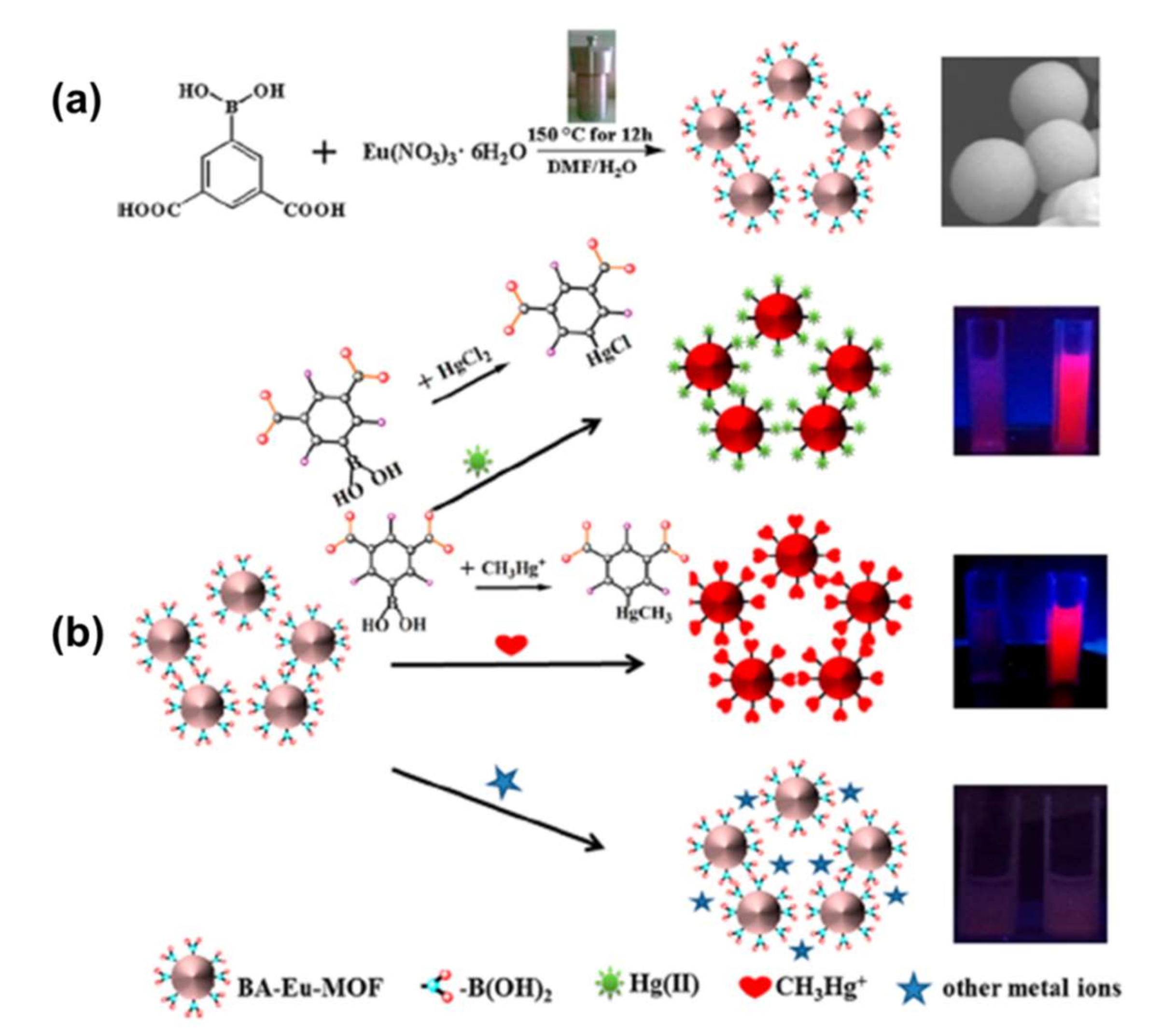Molecules 27 02226 g010