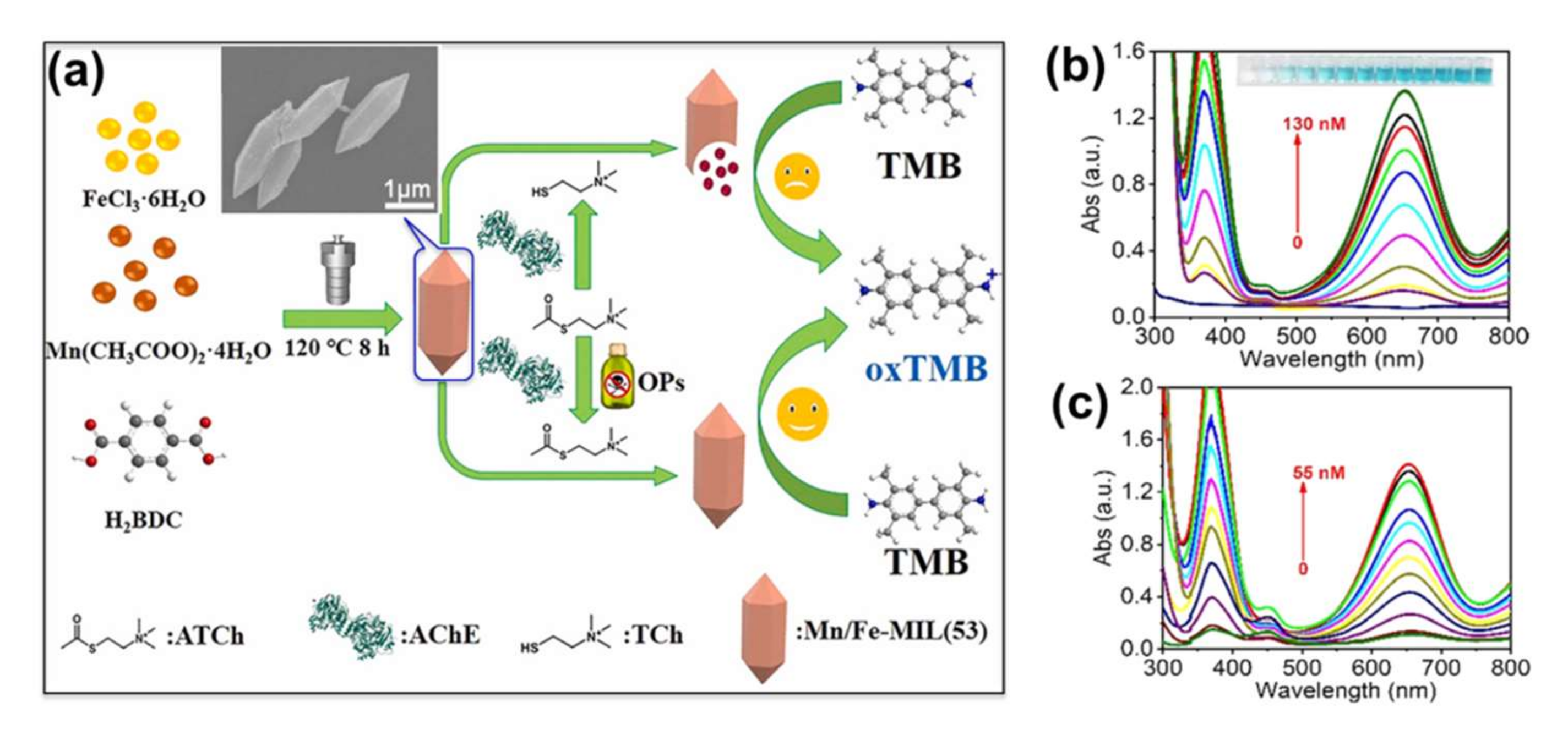 Molecules 27 02226 g016