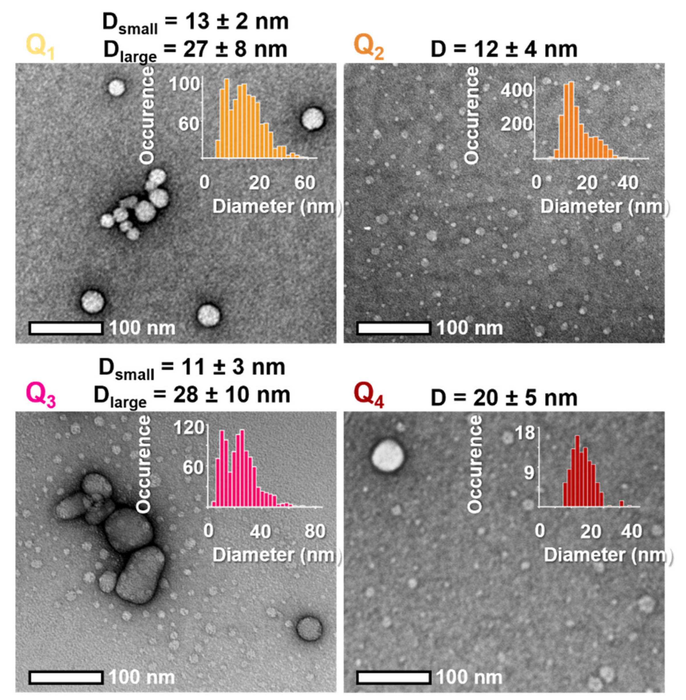 Molecules 27 02230 g005 Molecules 27 02230 g005