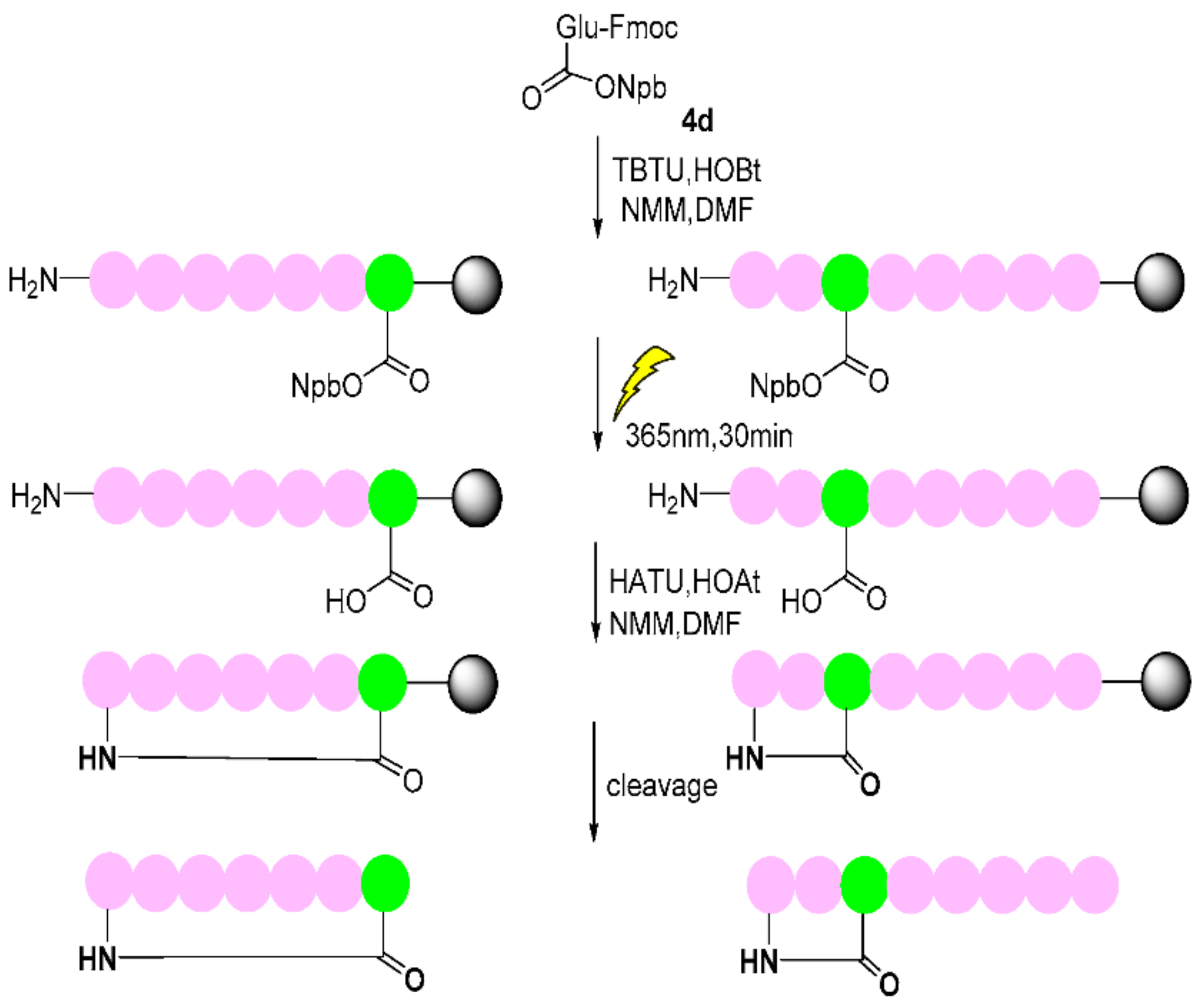 Molecules 27 02231 sch010