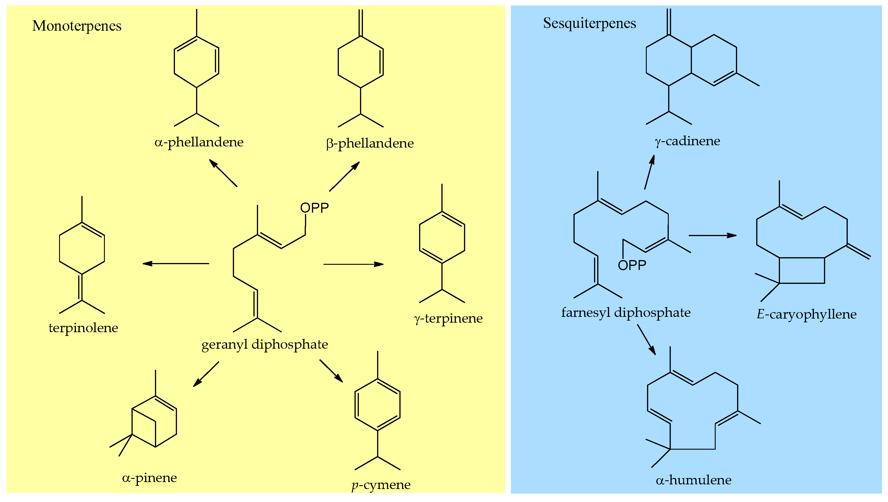Molecules 27 02234 g001
