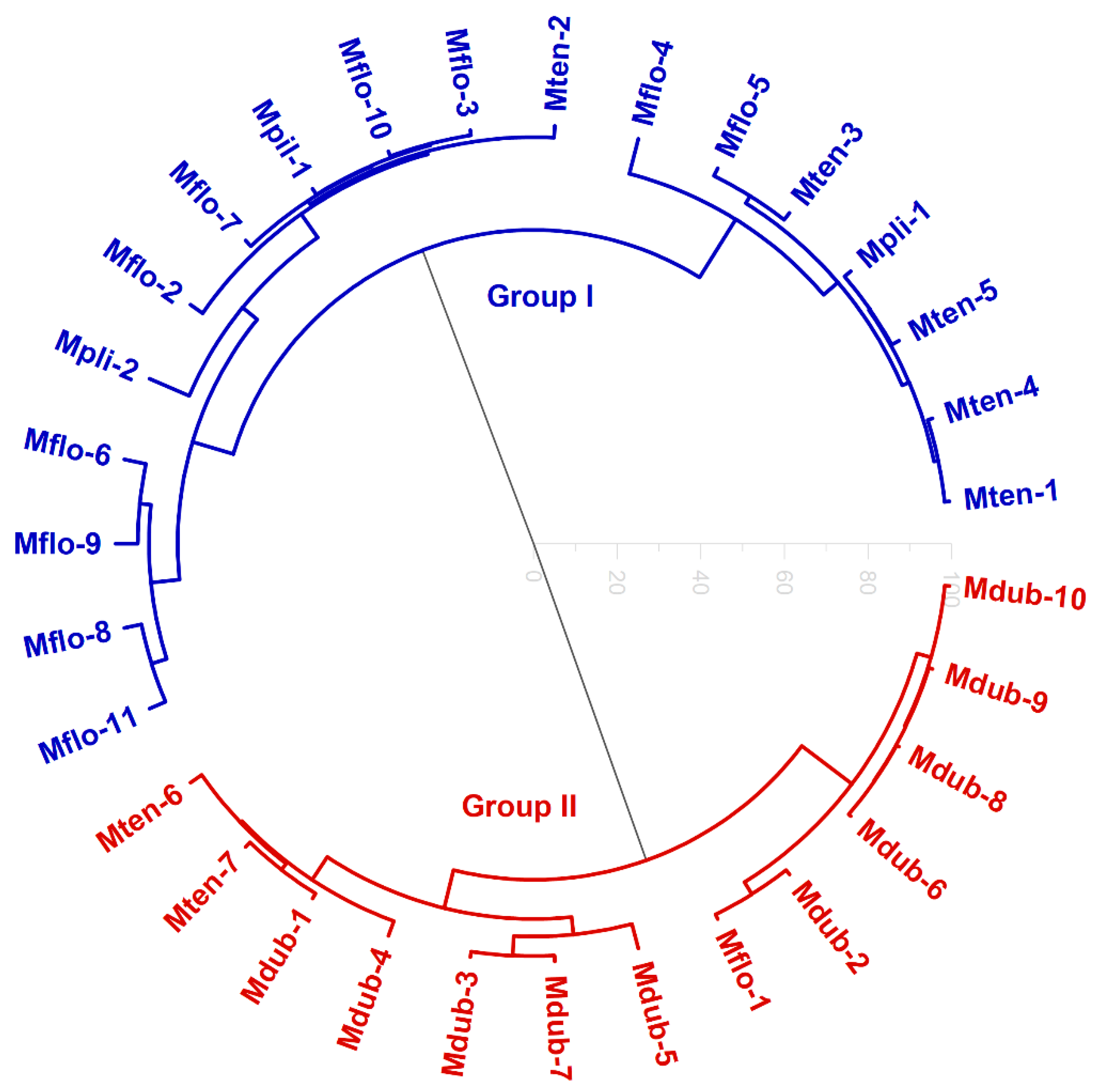 Molecules 27 02234 g002