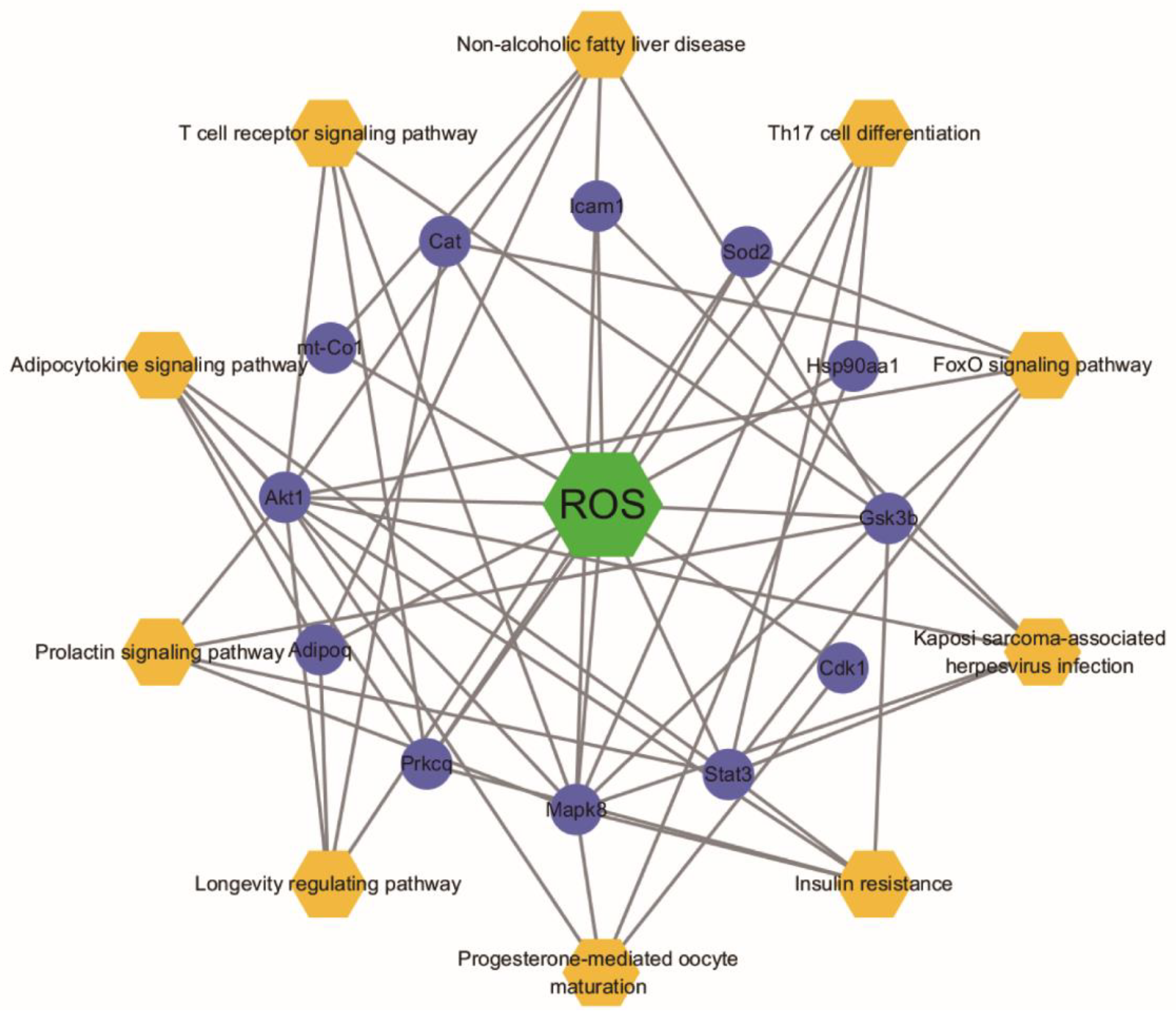 Molecules 27 02235 g007