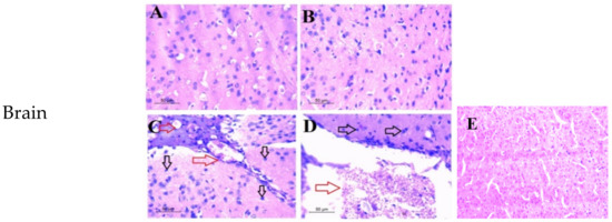 Molecules 27 02246 g003a 550