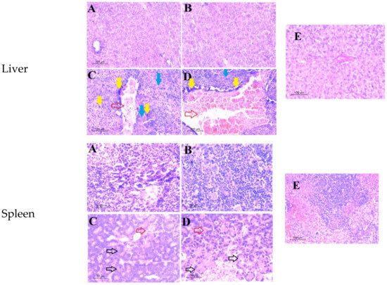 Molecules 27 02246 g003b 550