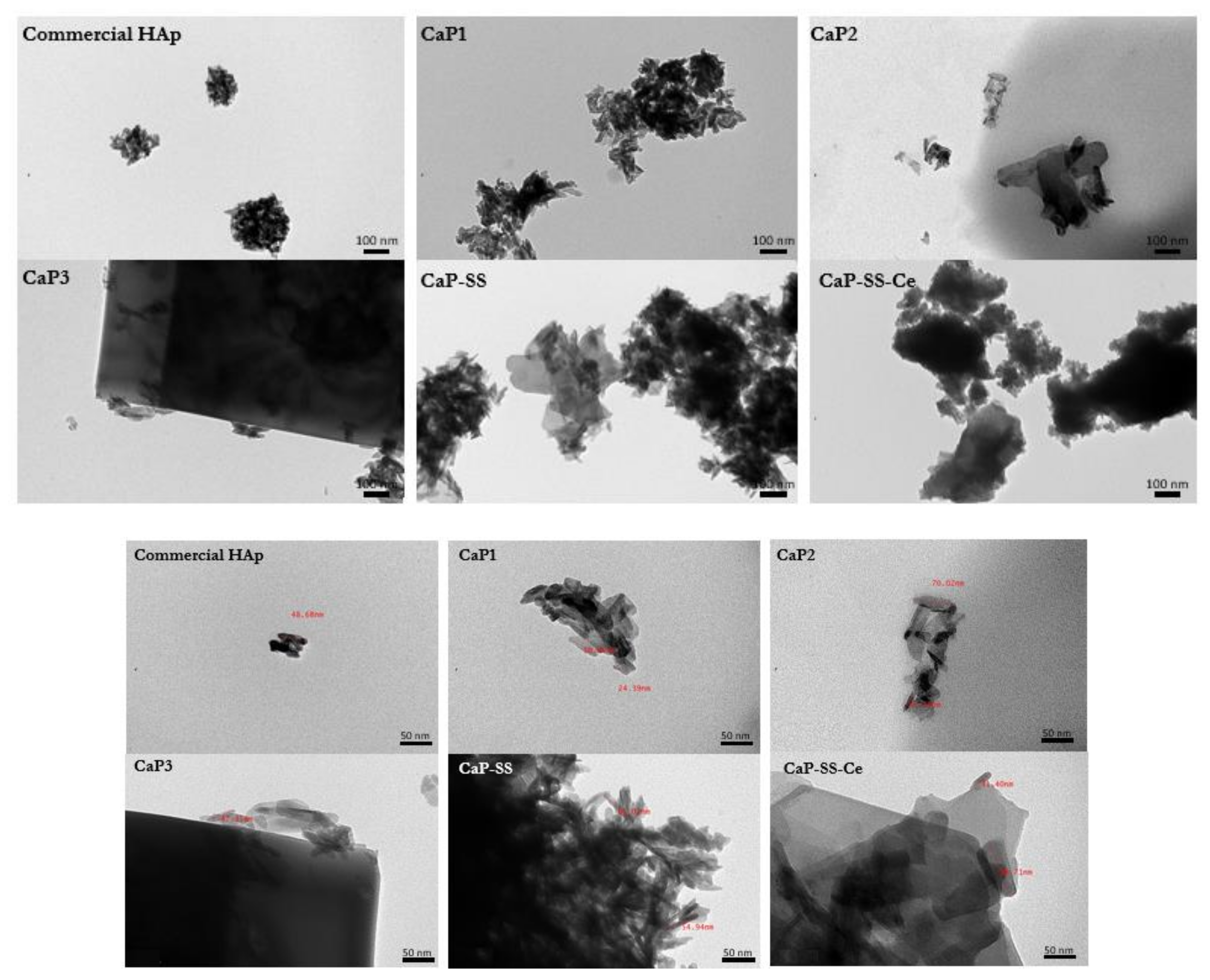 Molecules 27 02249 g002
