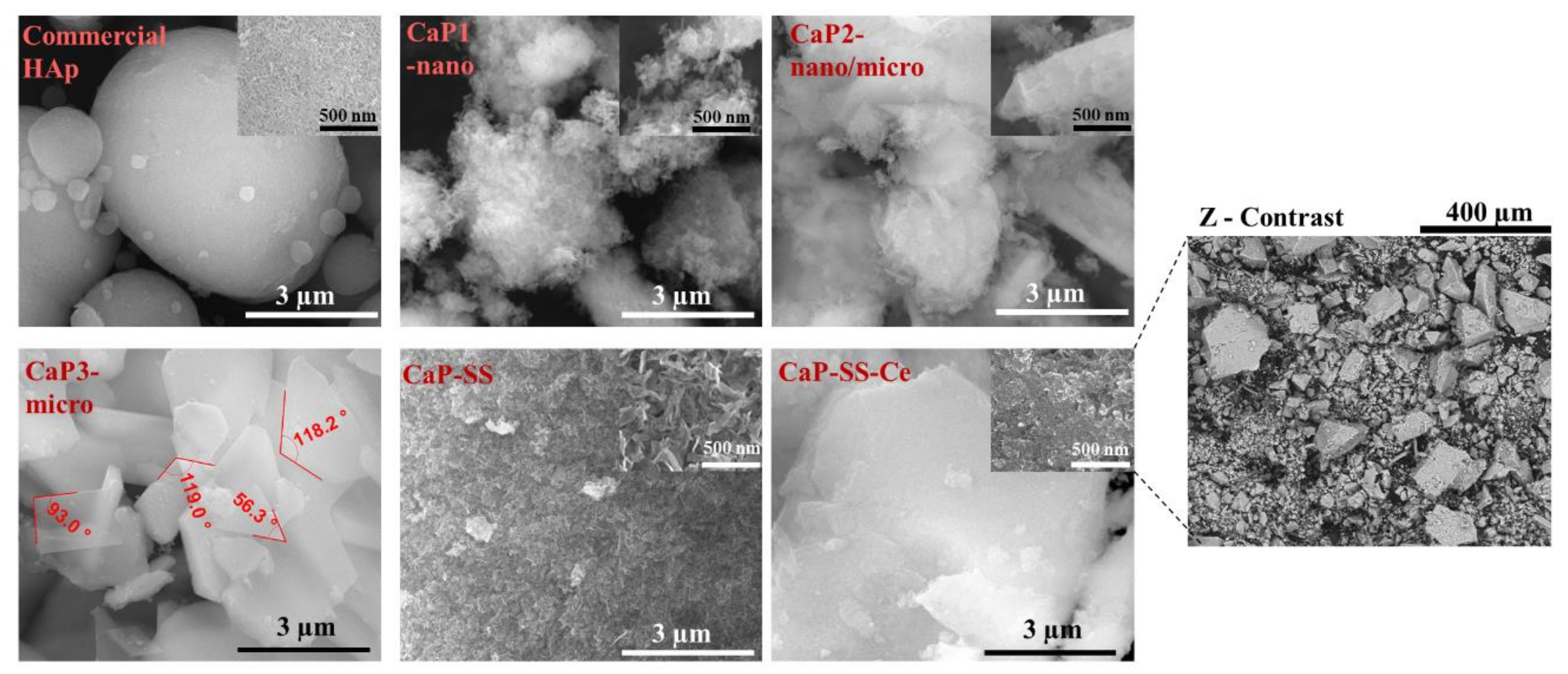 Molecules 27 02249 g003