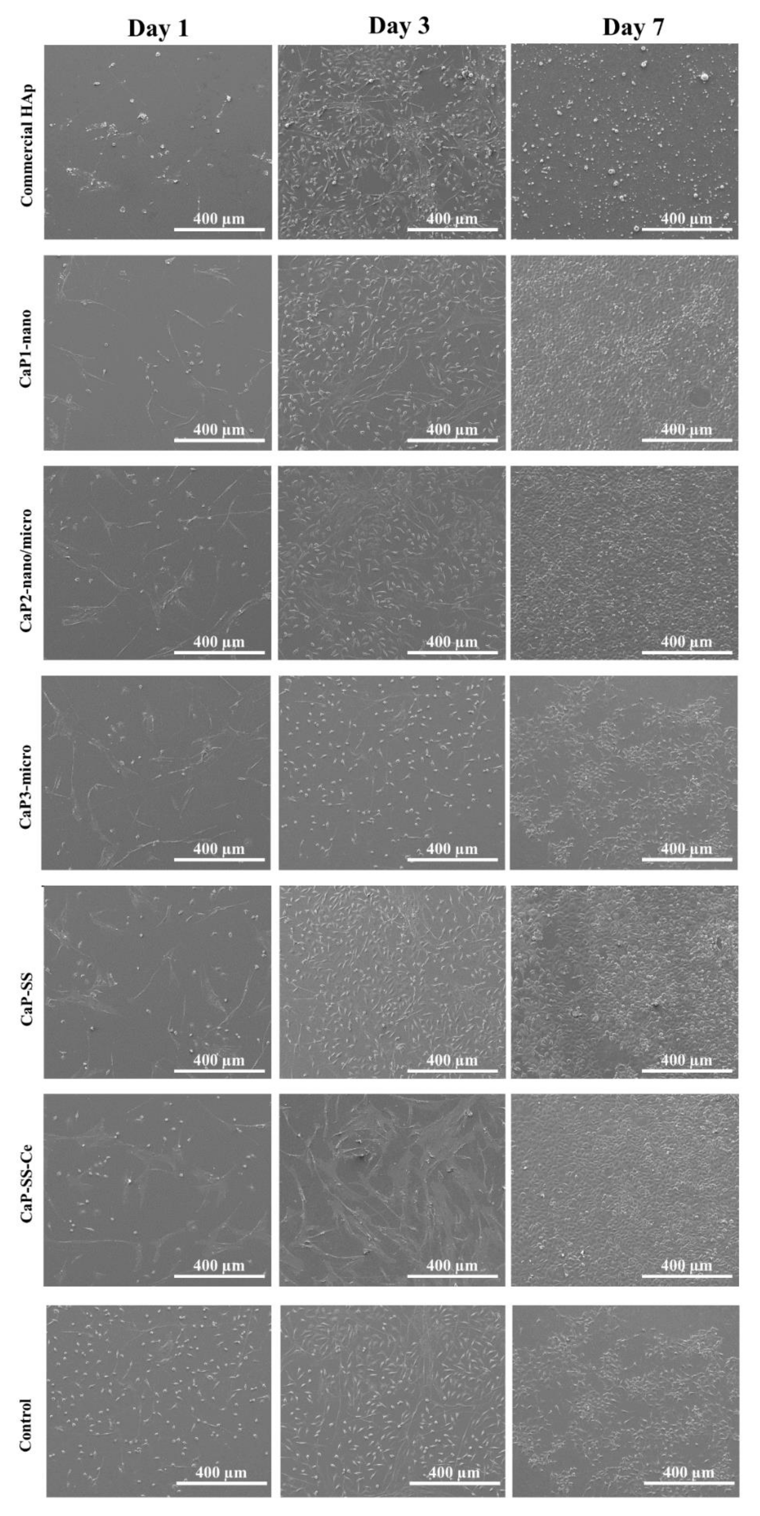 Molecules 27 02249 g006