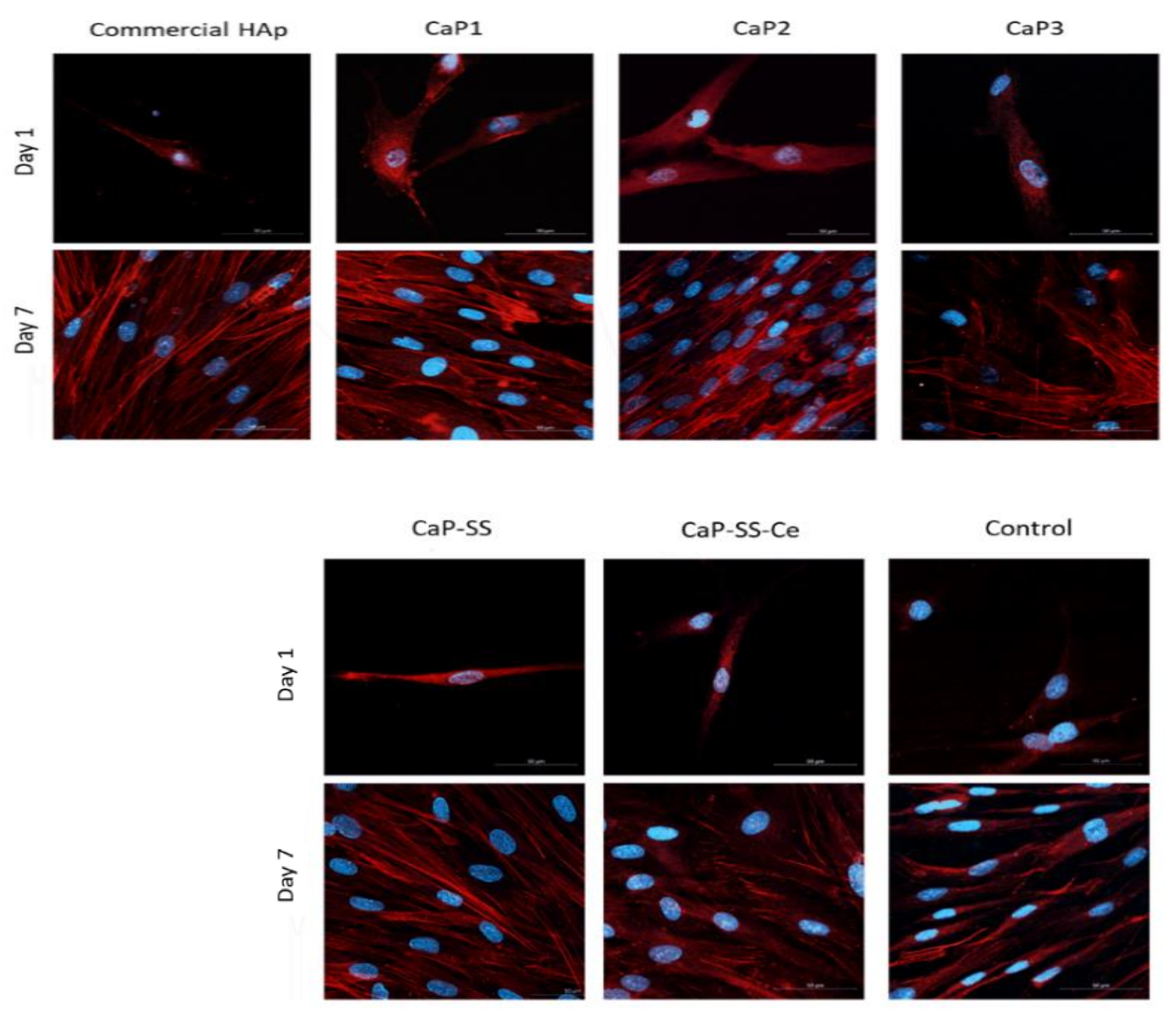 Molecules 27 02249 g008