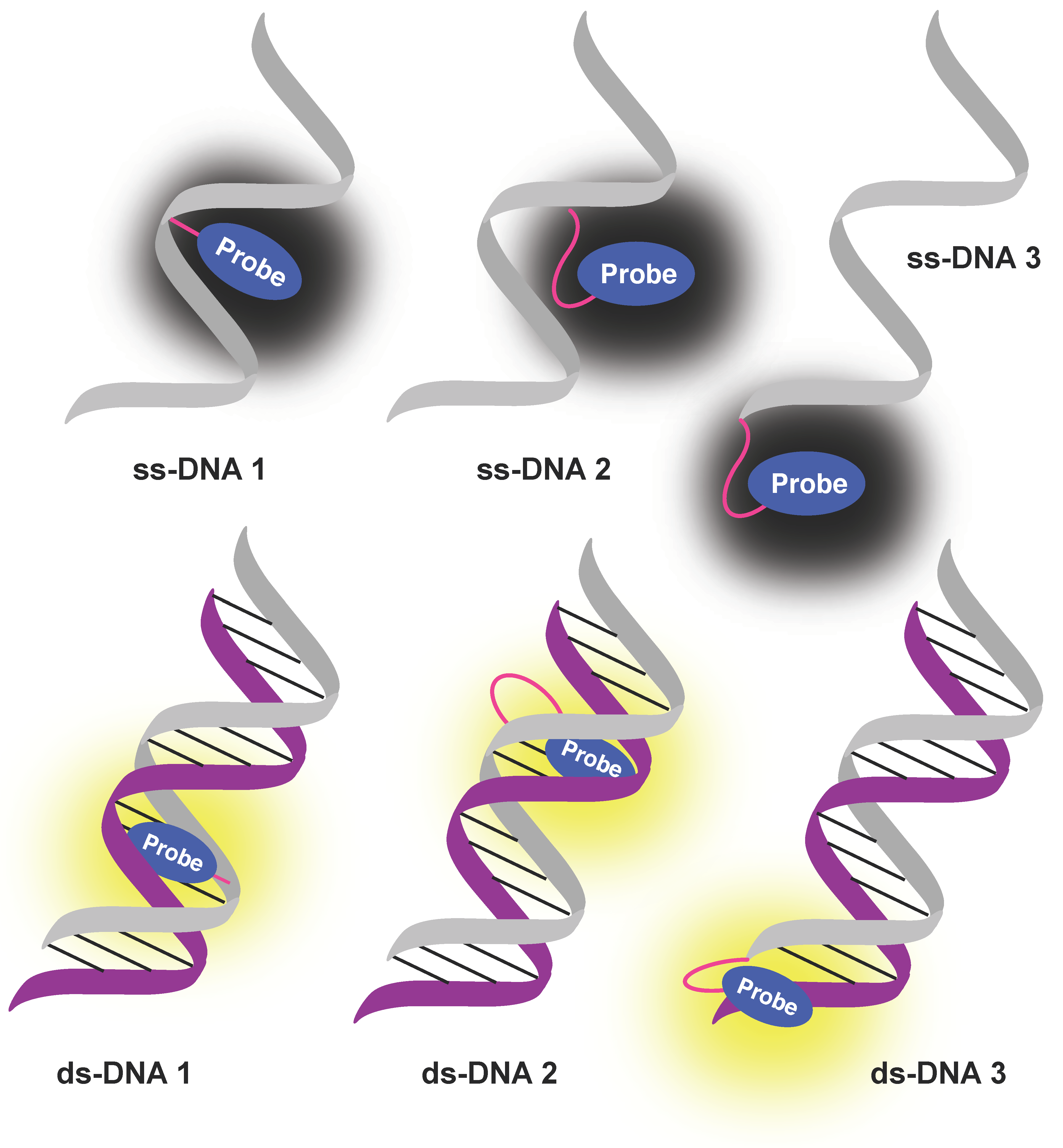 Molecules 27 02267 g001