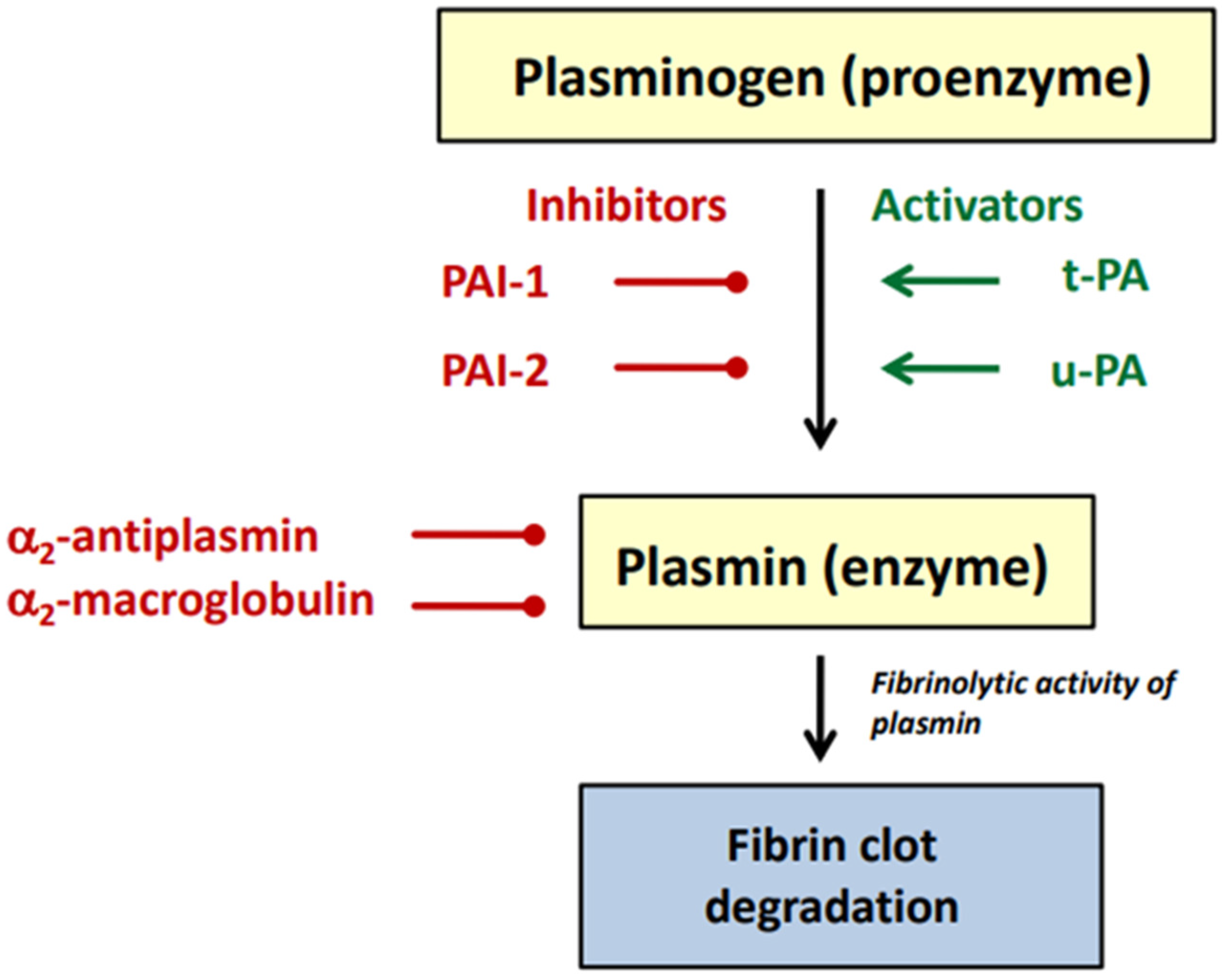 Molecules 27 02271 g002
