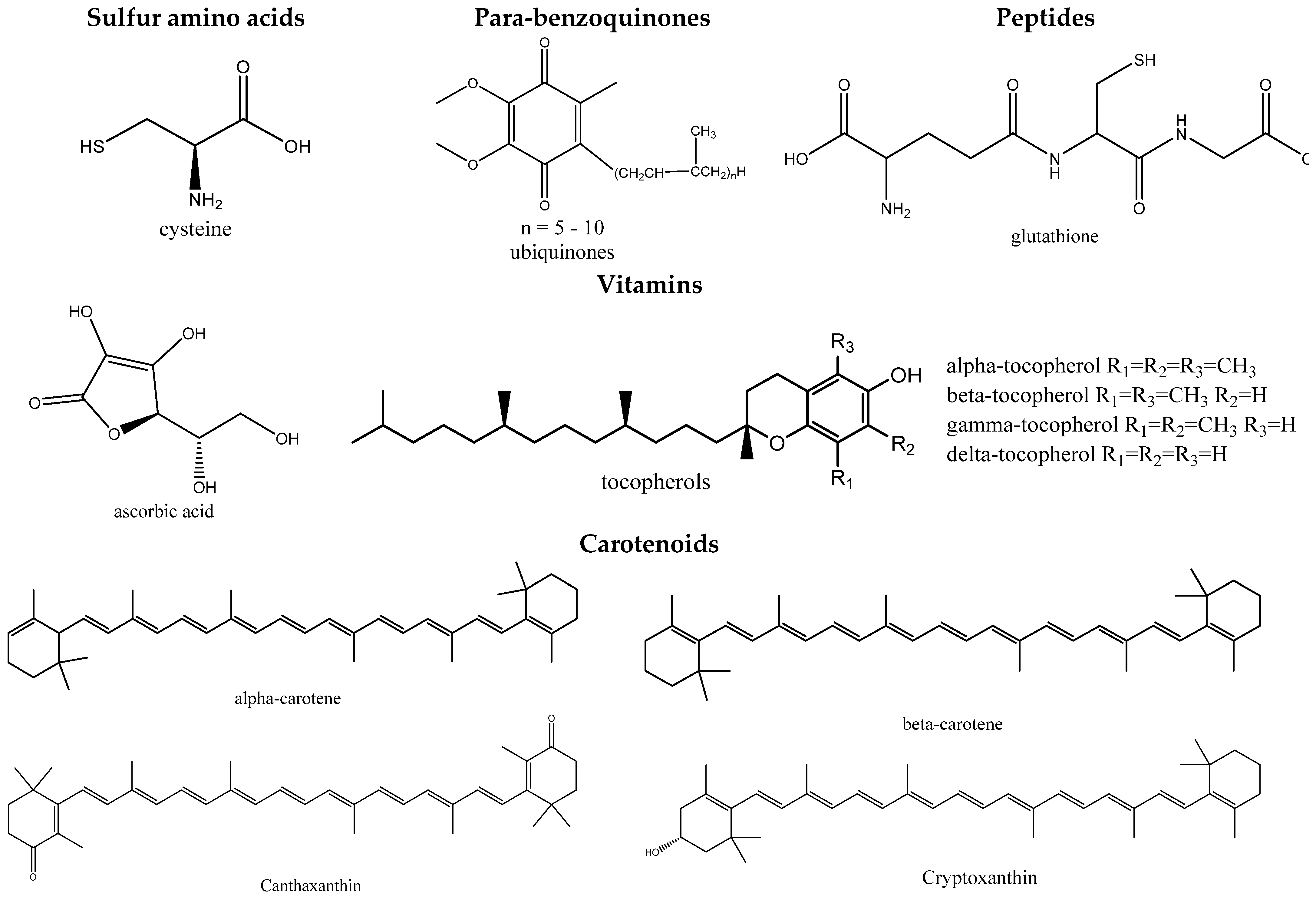 Molecules 27 02276 g001 Molecules 27 02276 g001