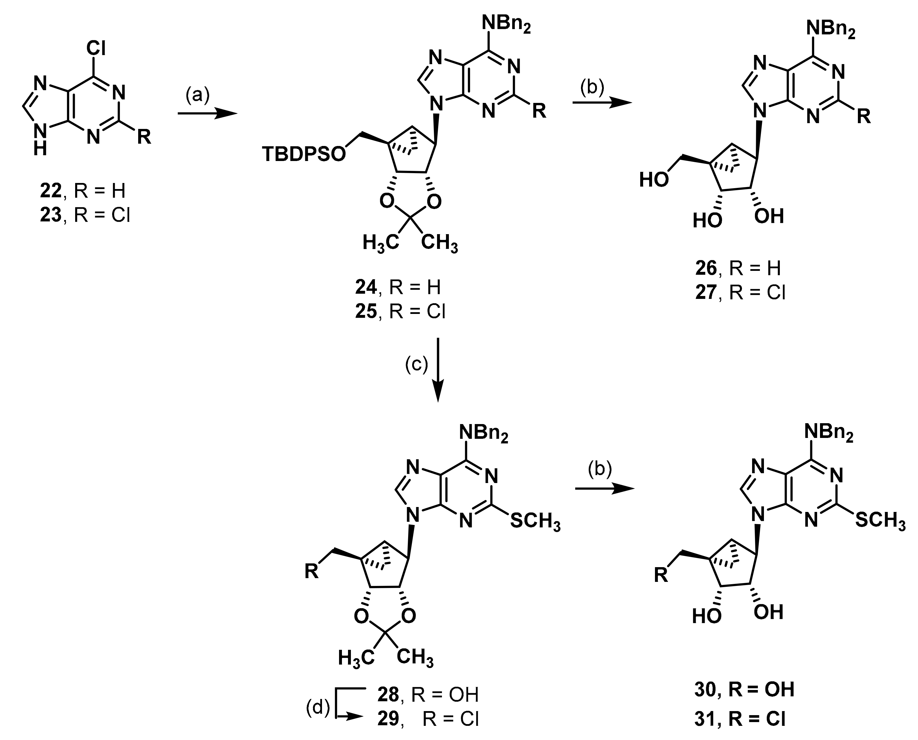 Molecules 27 02283 sch004 Molecules 27 02283 sch004