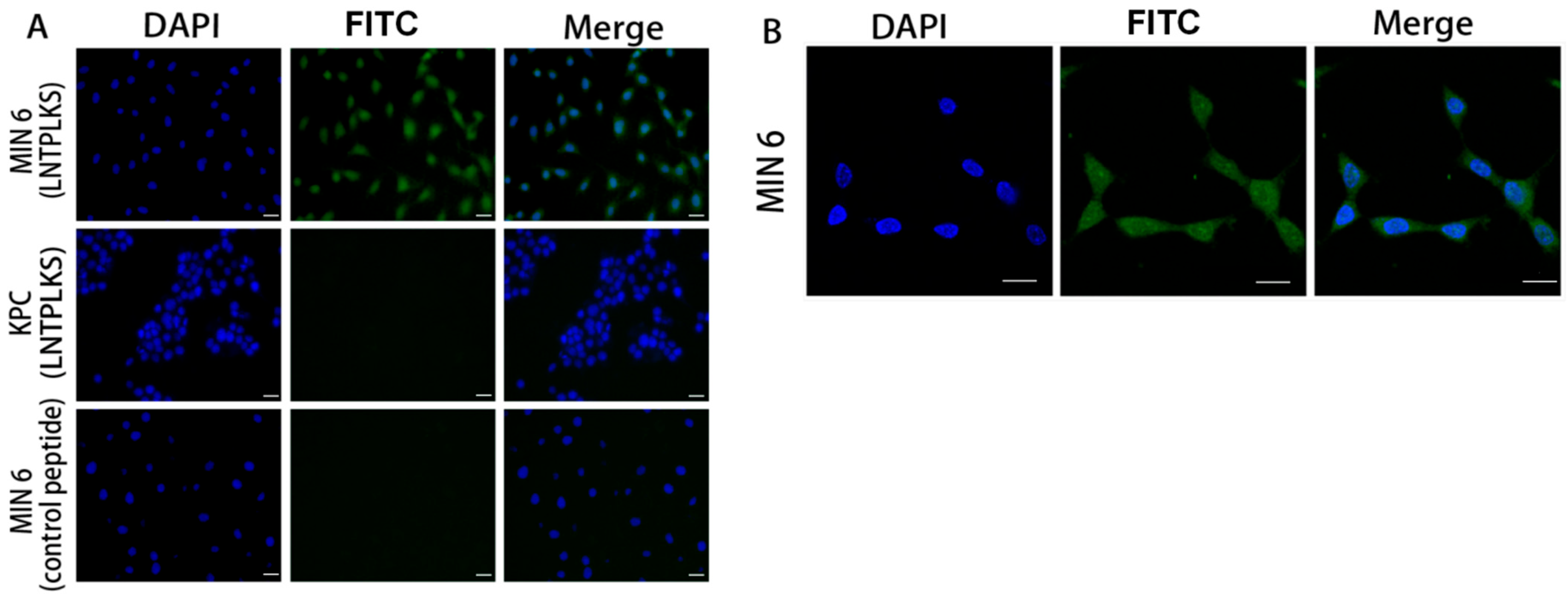 Molecules 27 02286 g002