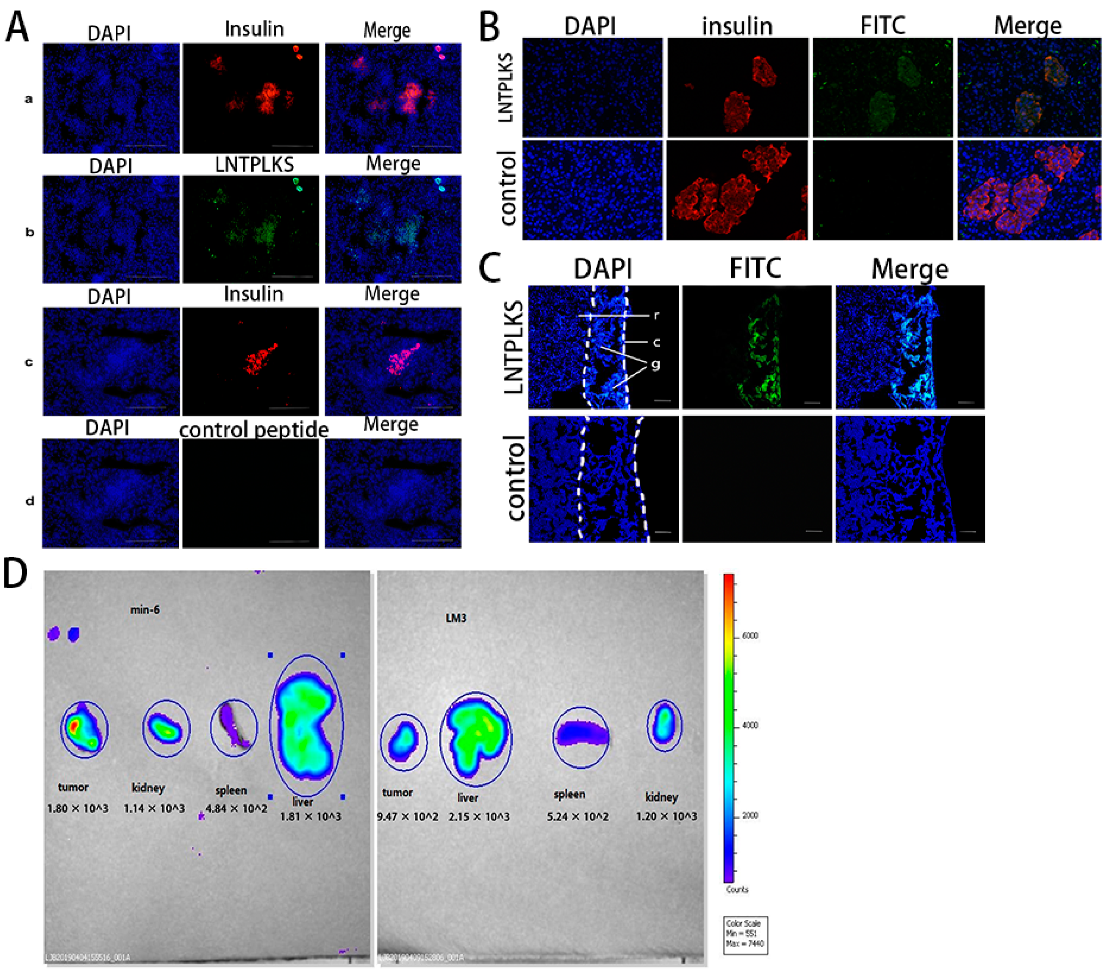 Molecules 27 02286 g004