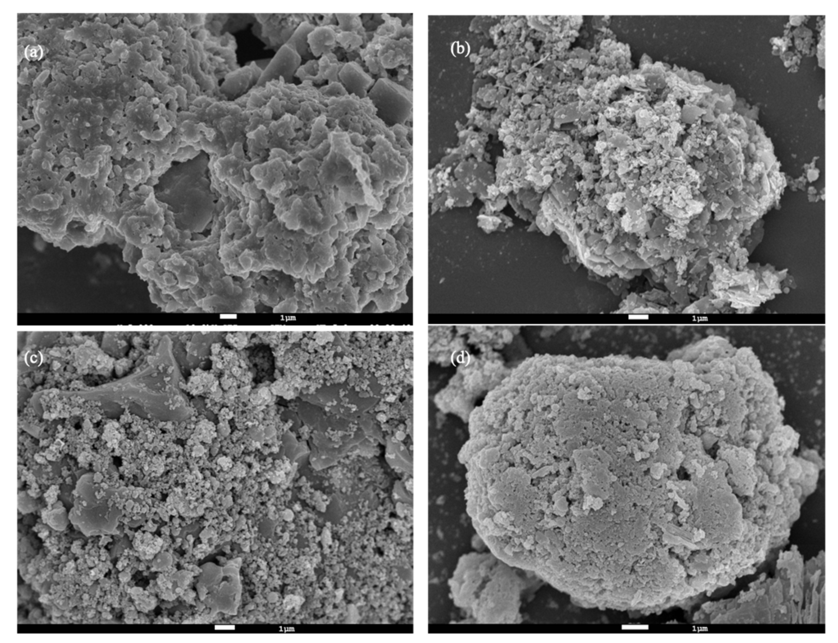 Molecules 27 02289 g005