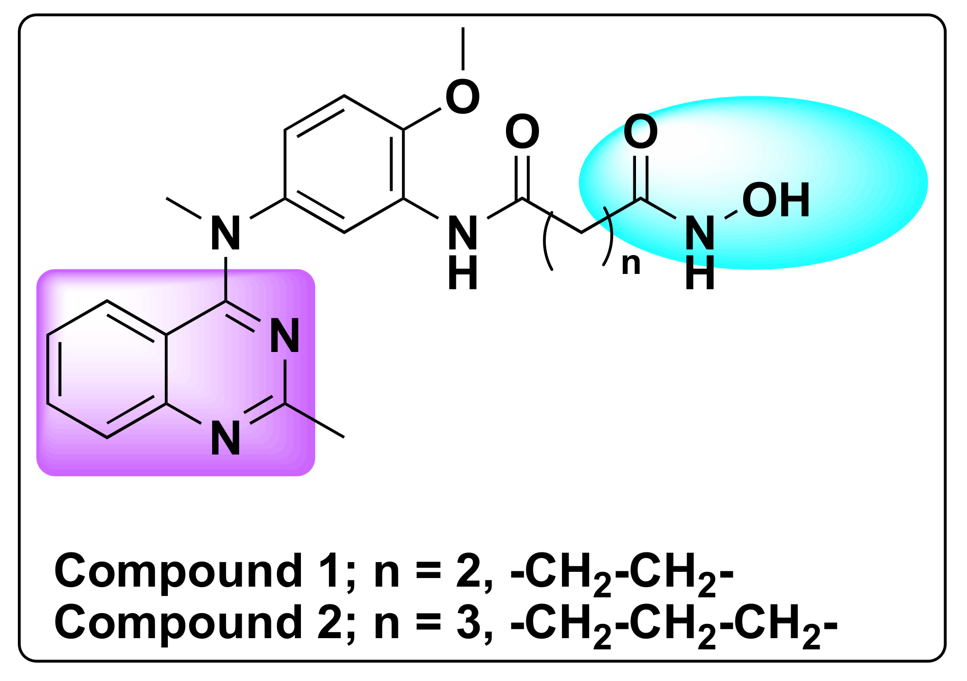 Molecules 27 02294 g005