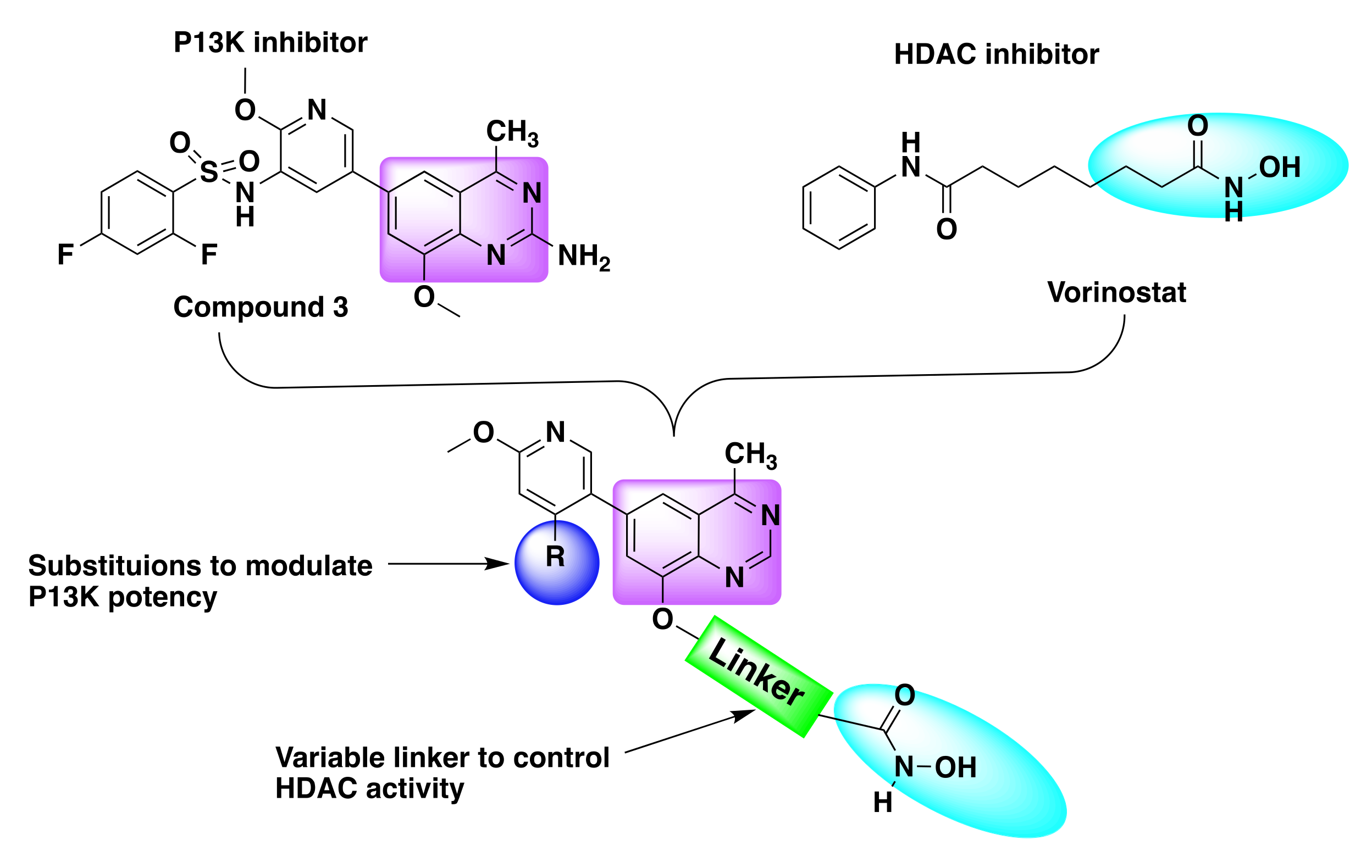 Molecules 27 02294 g007