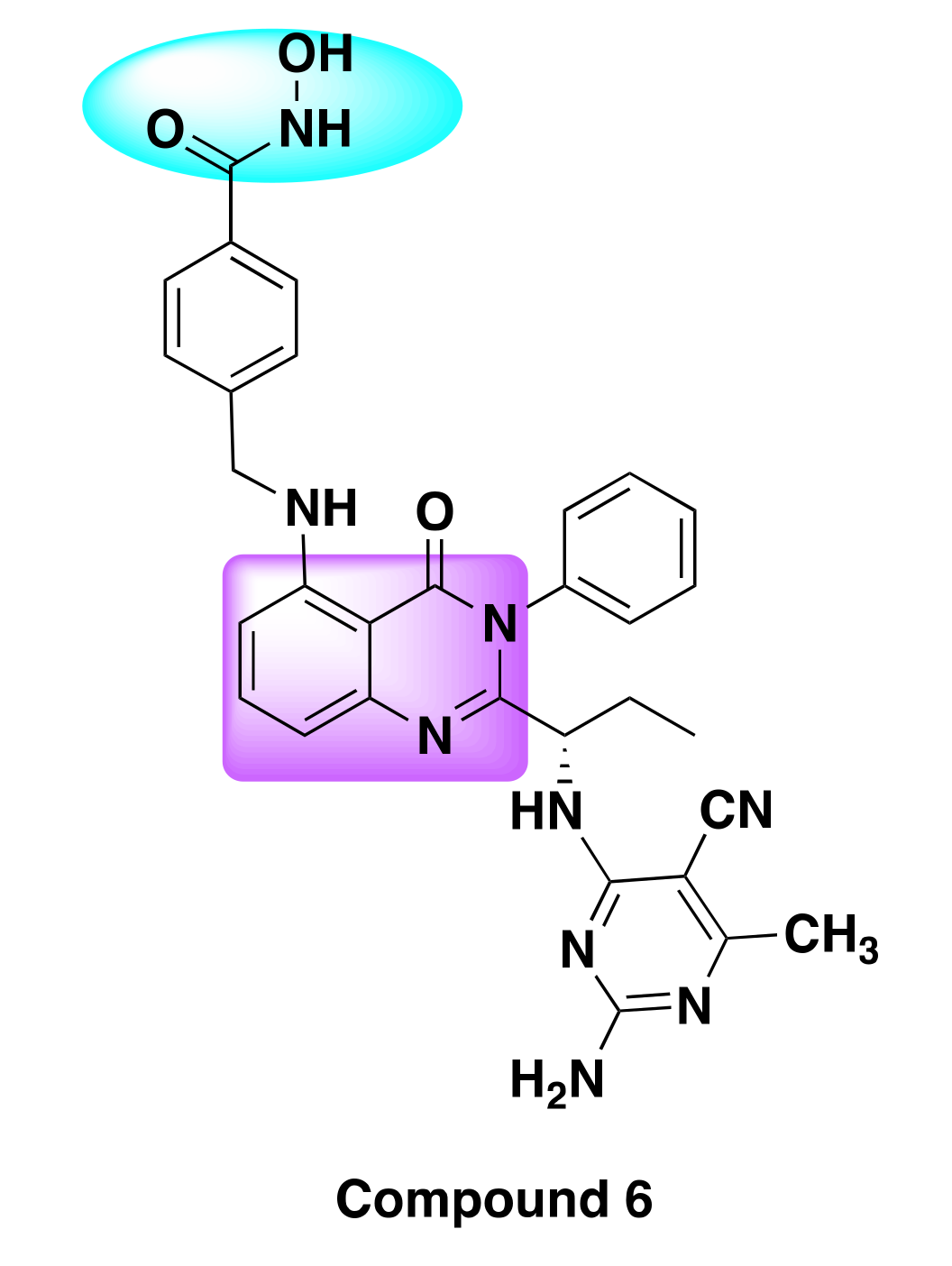 Molecules 27 02294 g010