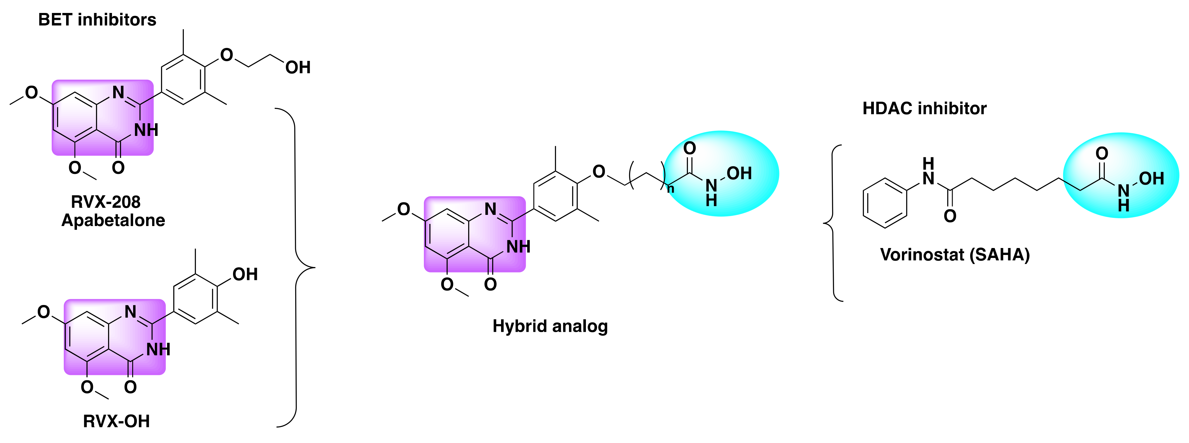 Molecules 27 02294 g012