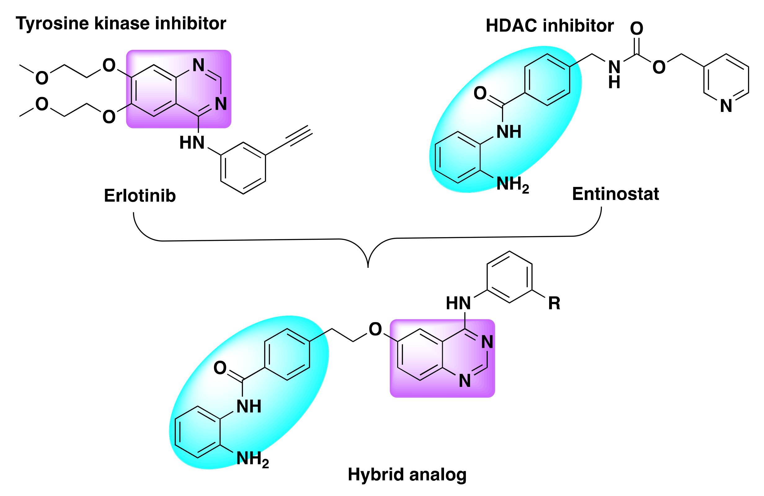 Molecules 27 02294 g017