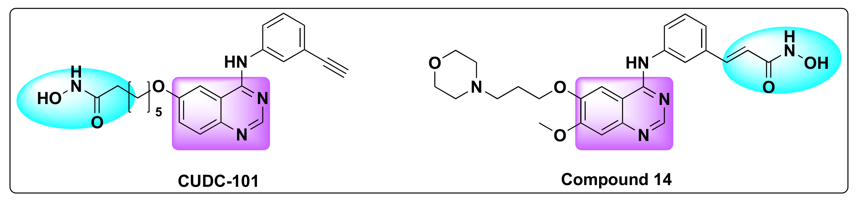 Molecules 27 02294 g018