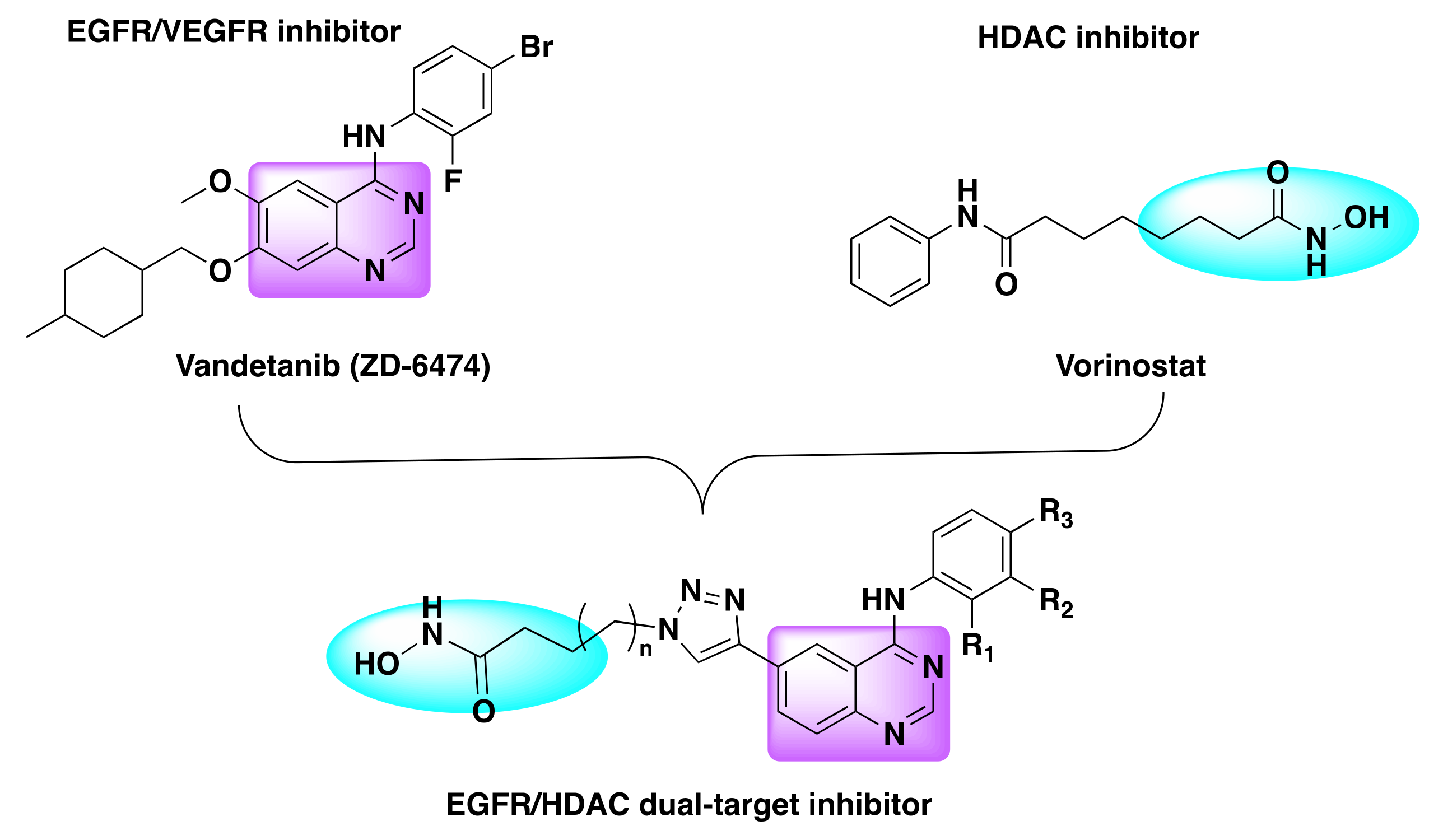 Molecules 27 02294 g019