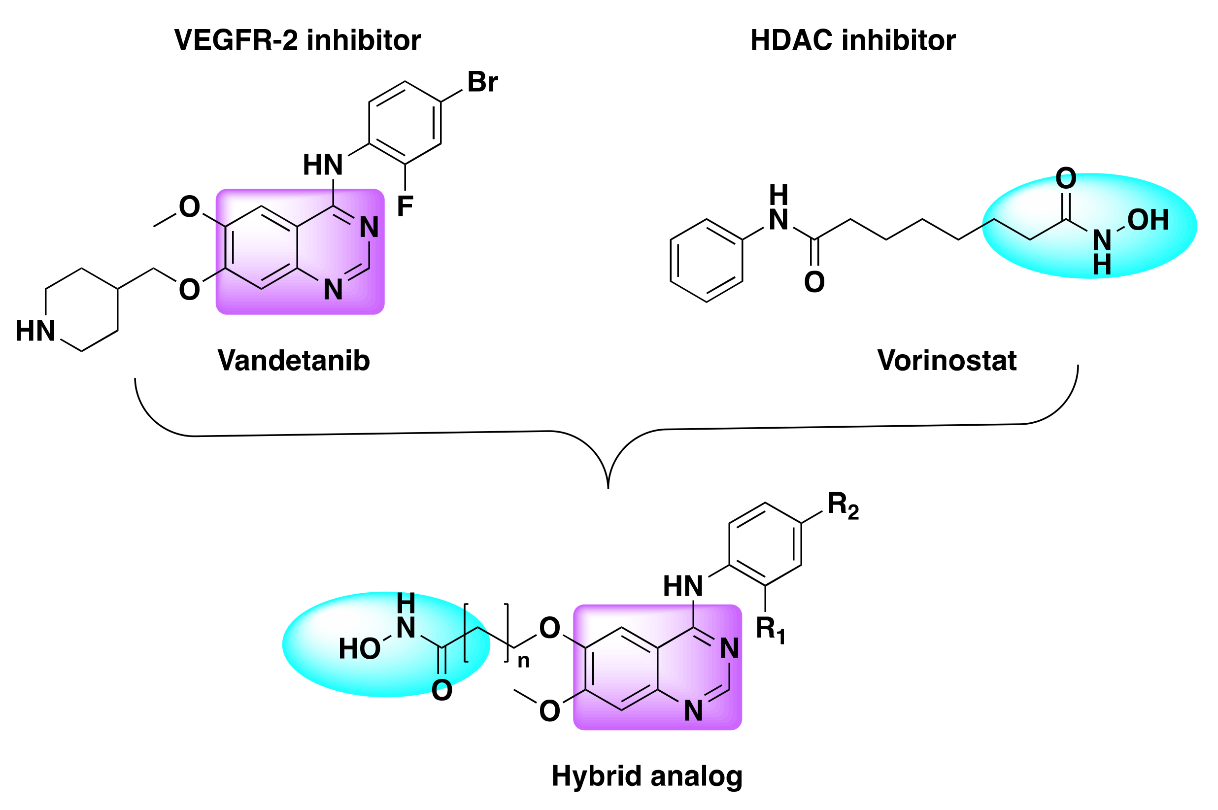 Molecules 27 02294 g022