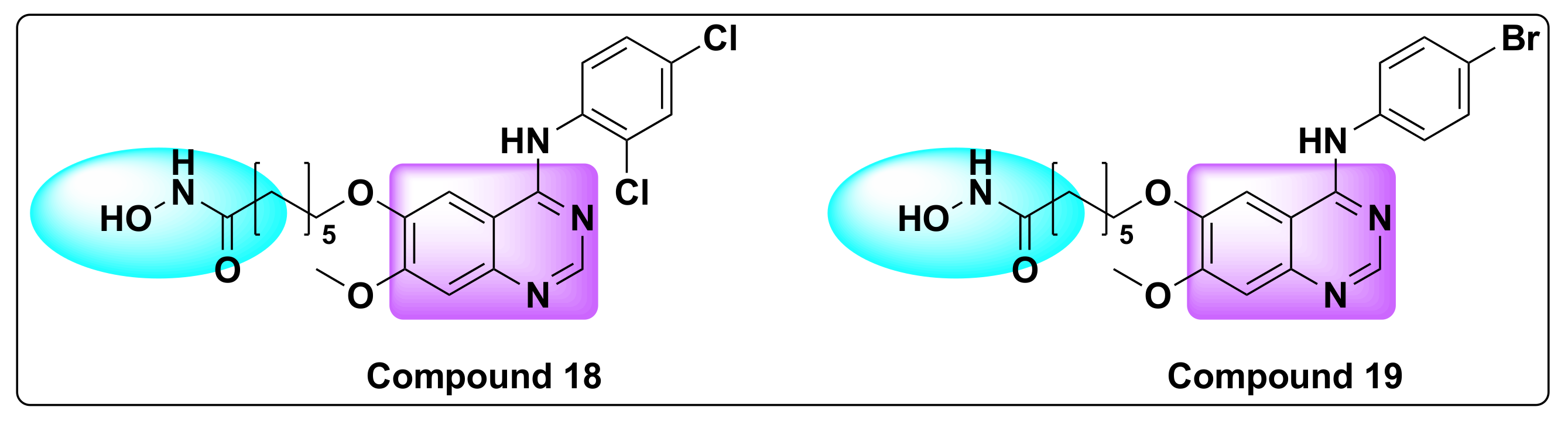 Molecules 27 02294 g023