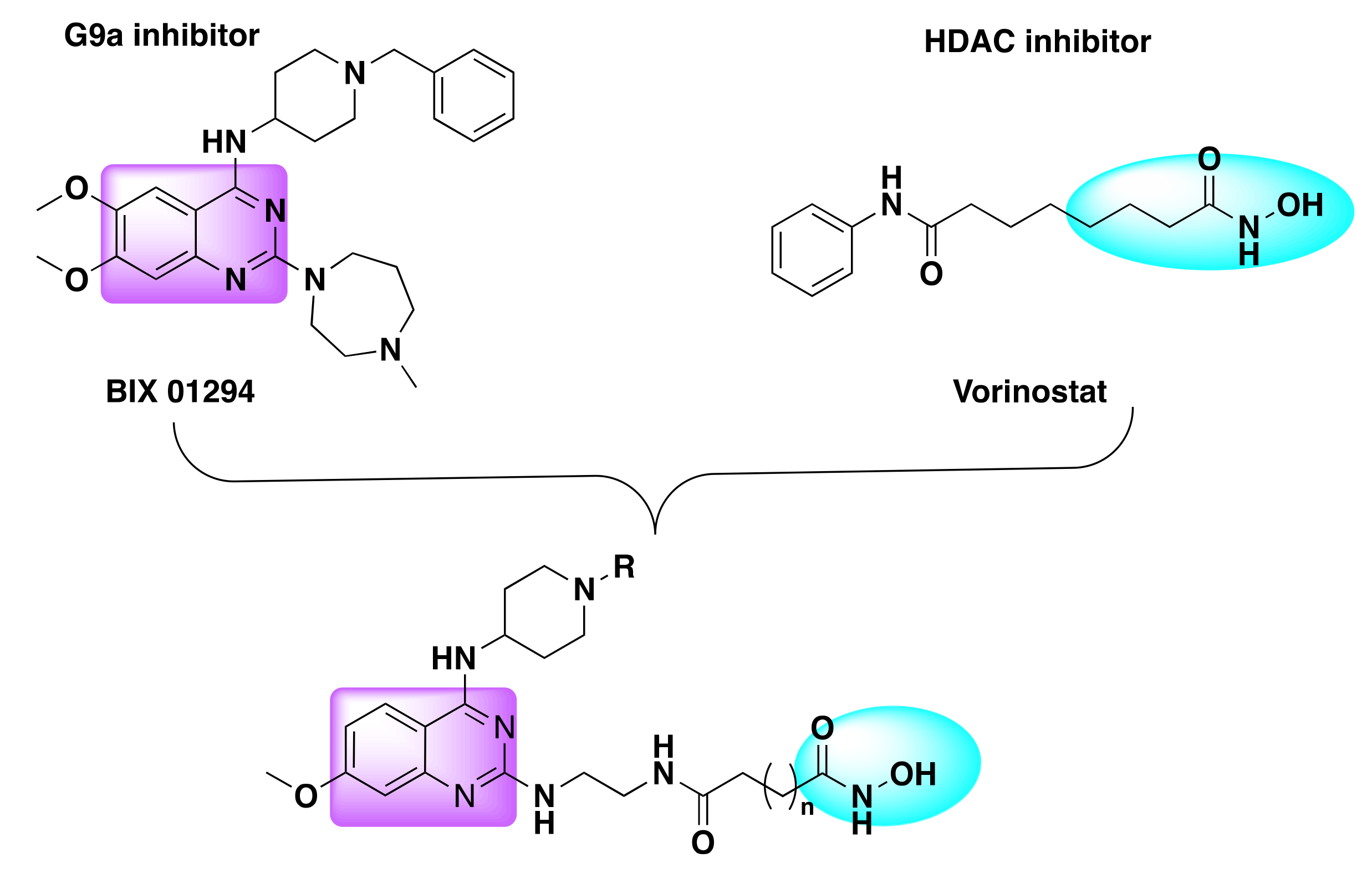 Molecules 27 02294 g025