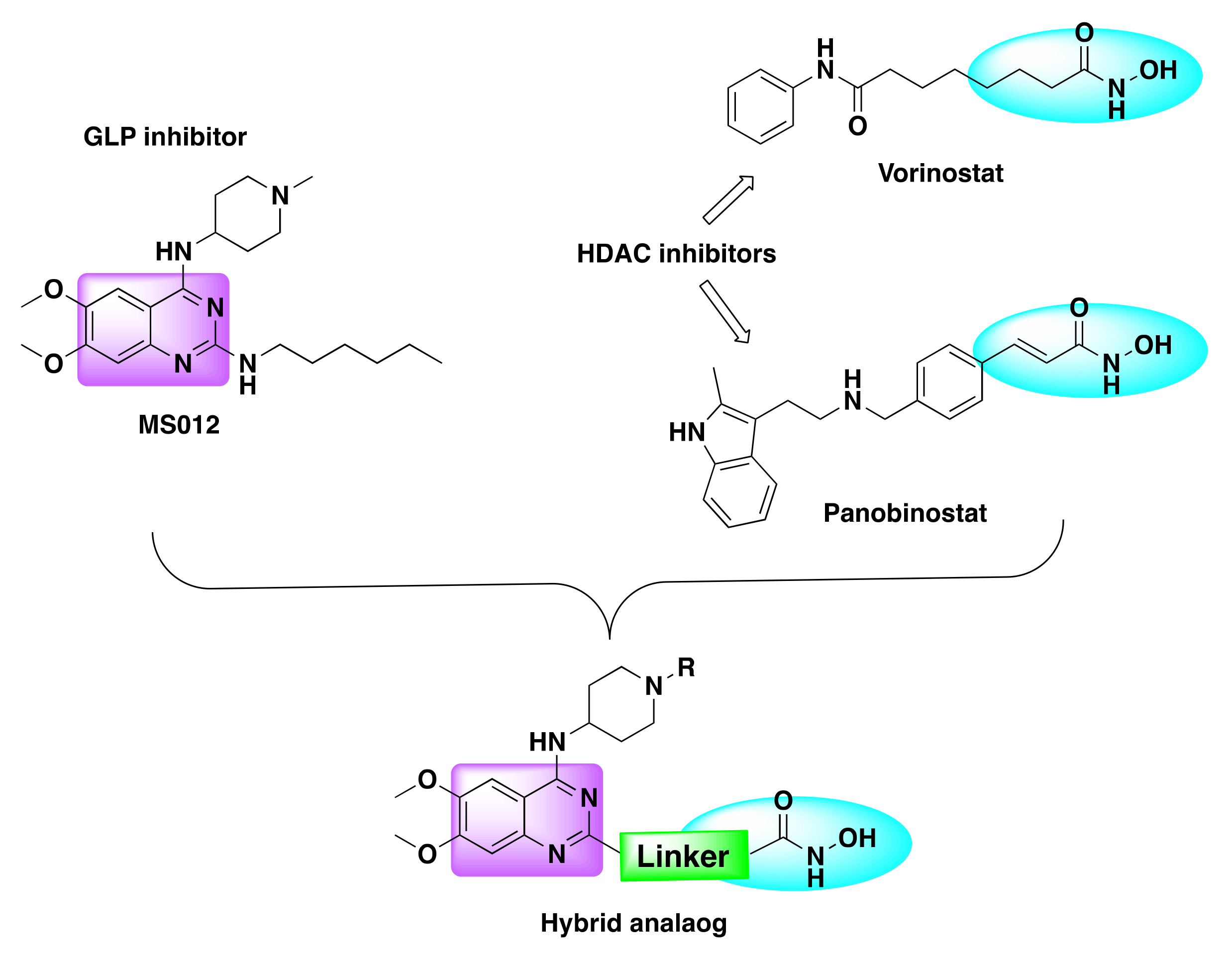Molecules 27 02294 g027