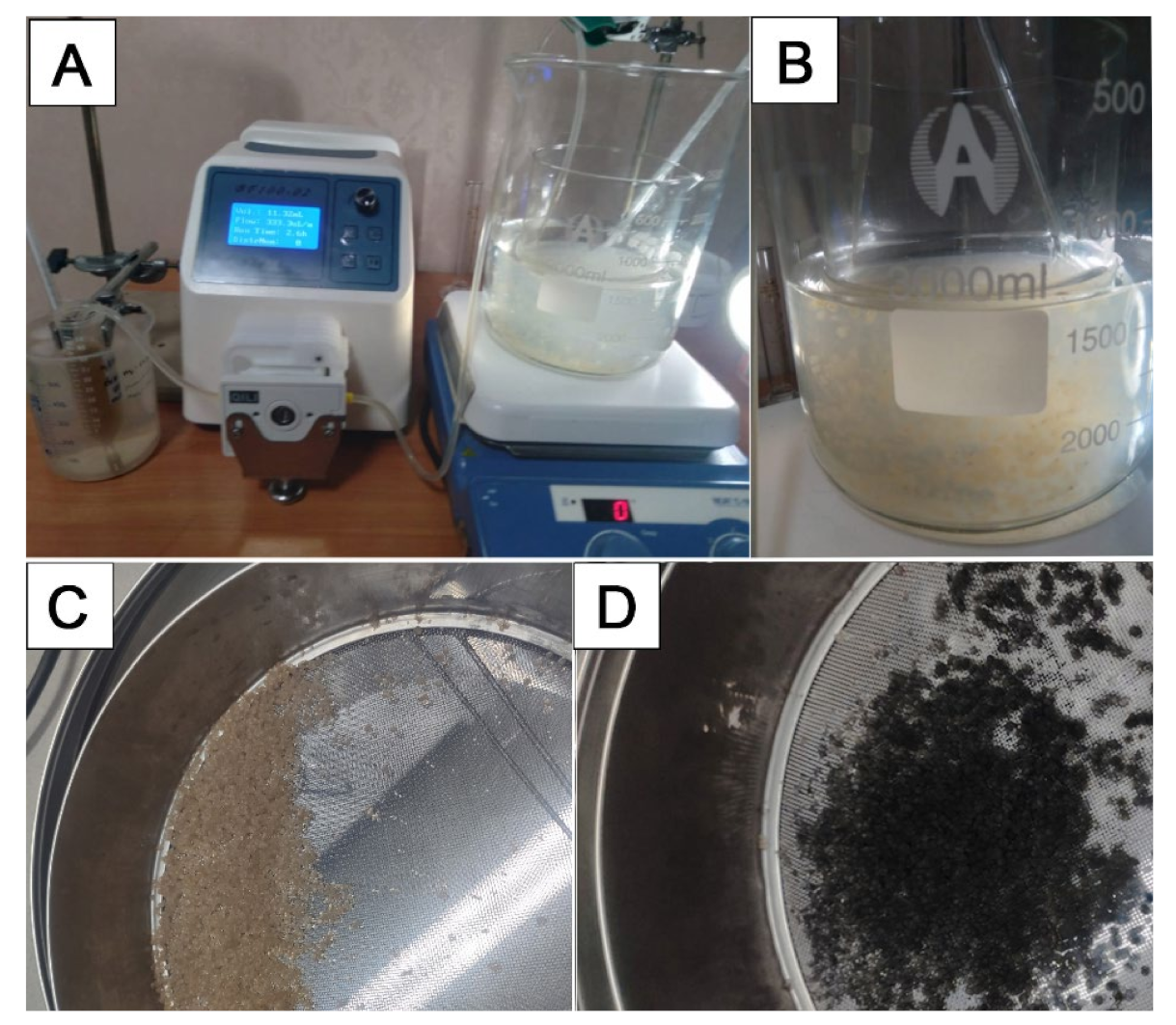 Molecules 27 02296 g007
