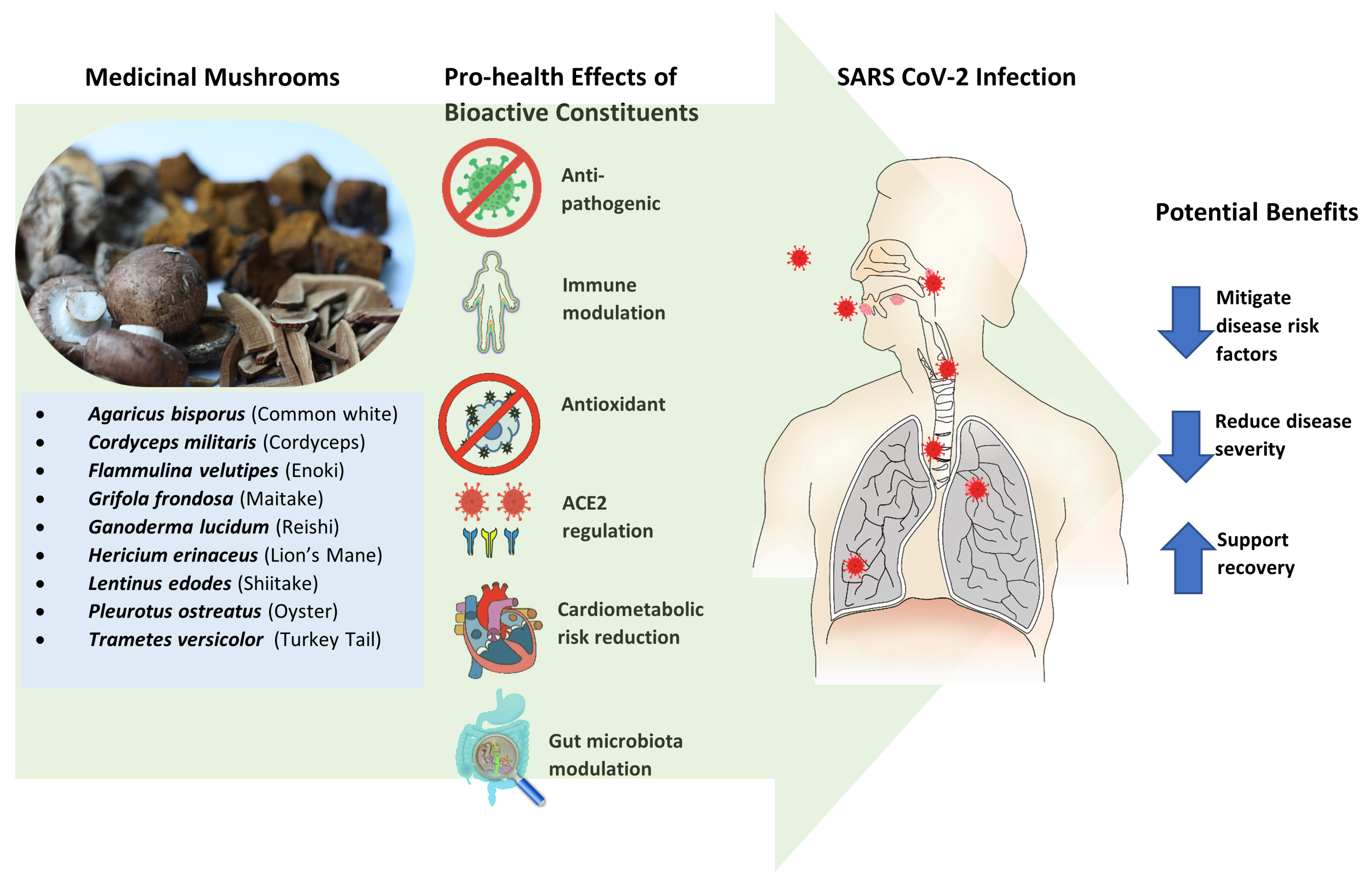 Molecules 27 02302 g001