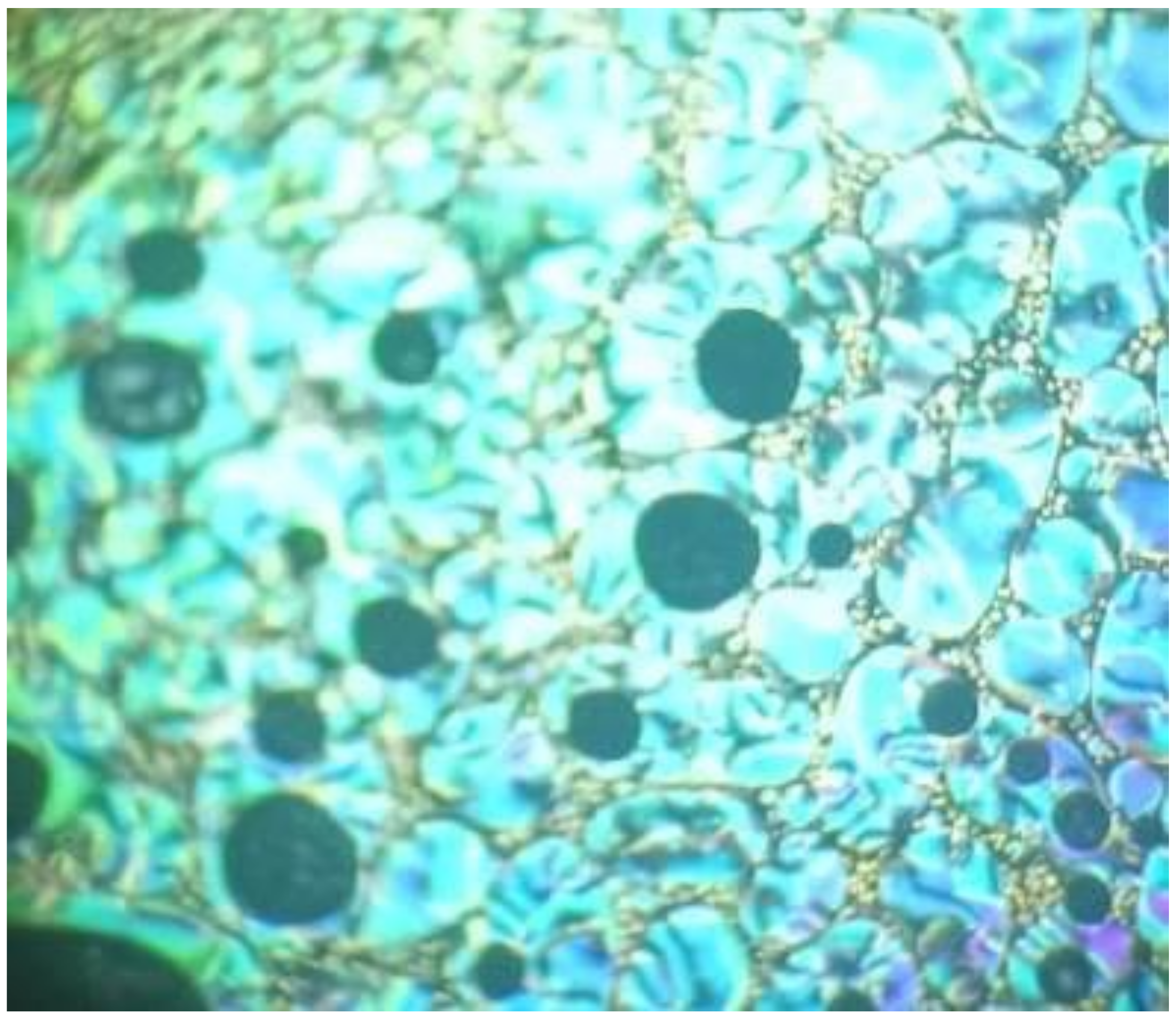 Molecules 27 02304 g004